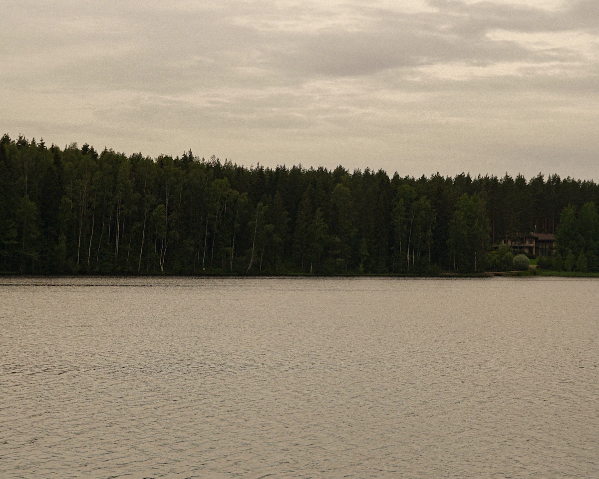 Lac calme bordé d'une forêt dense