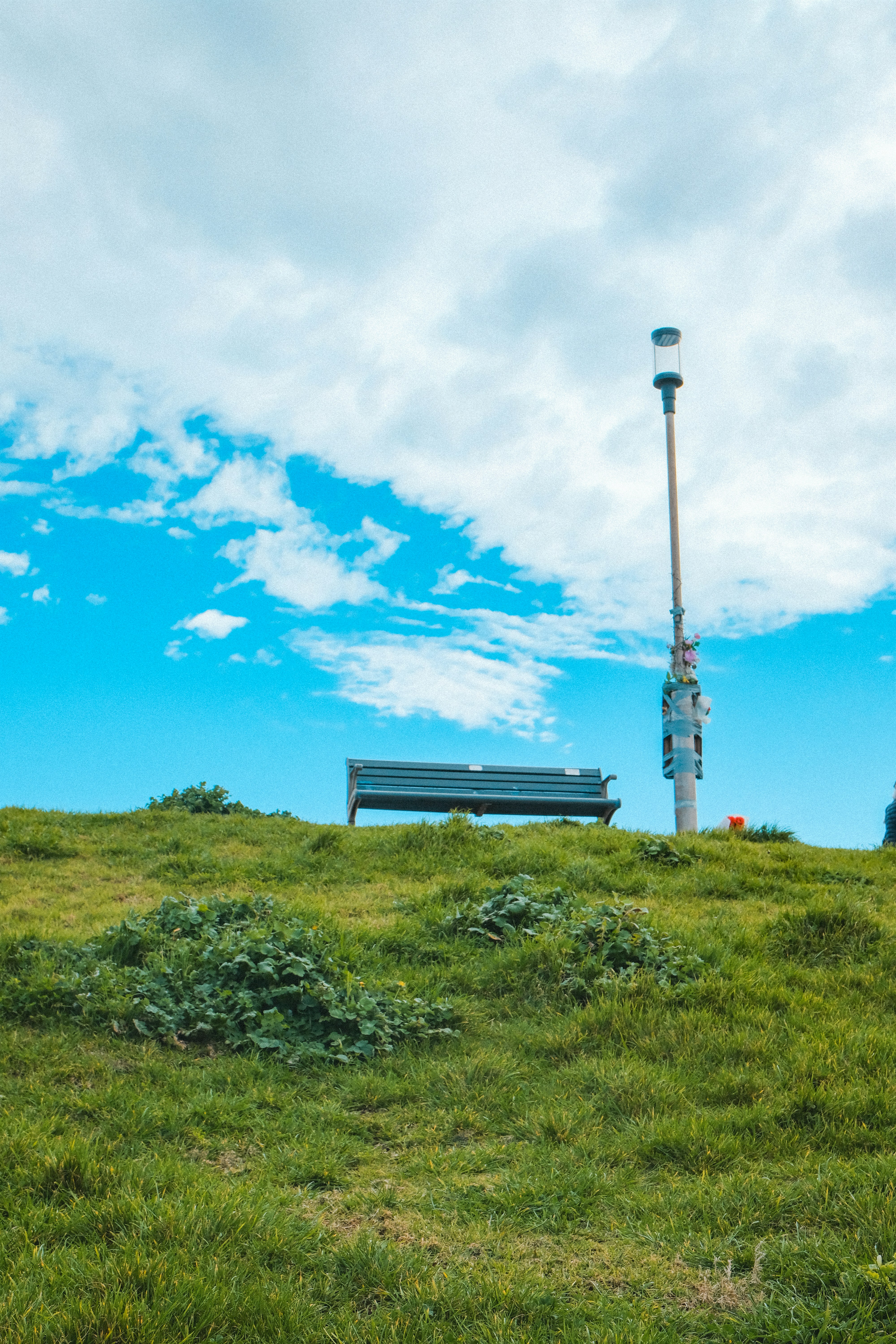 Photo by anniehatuanh