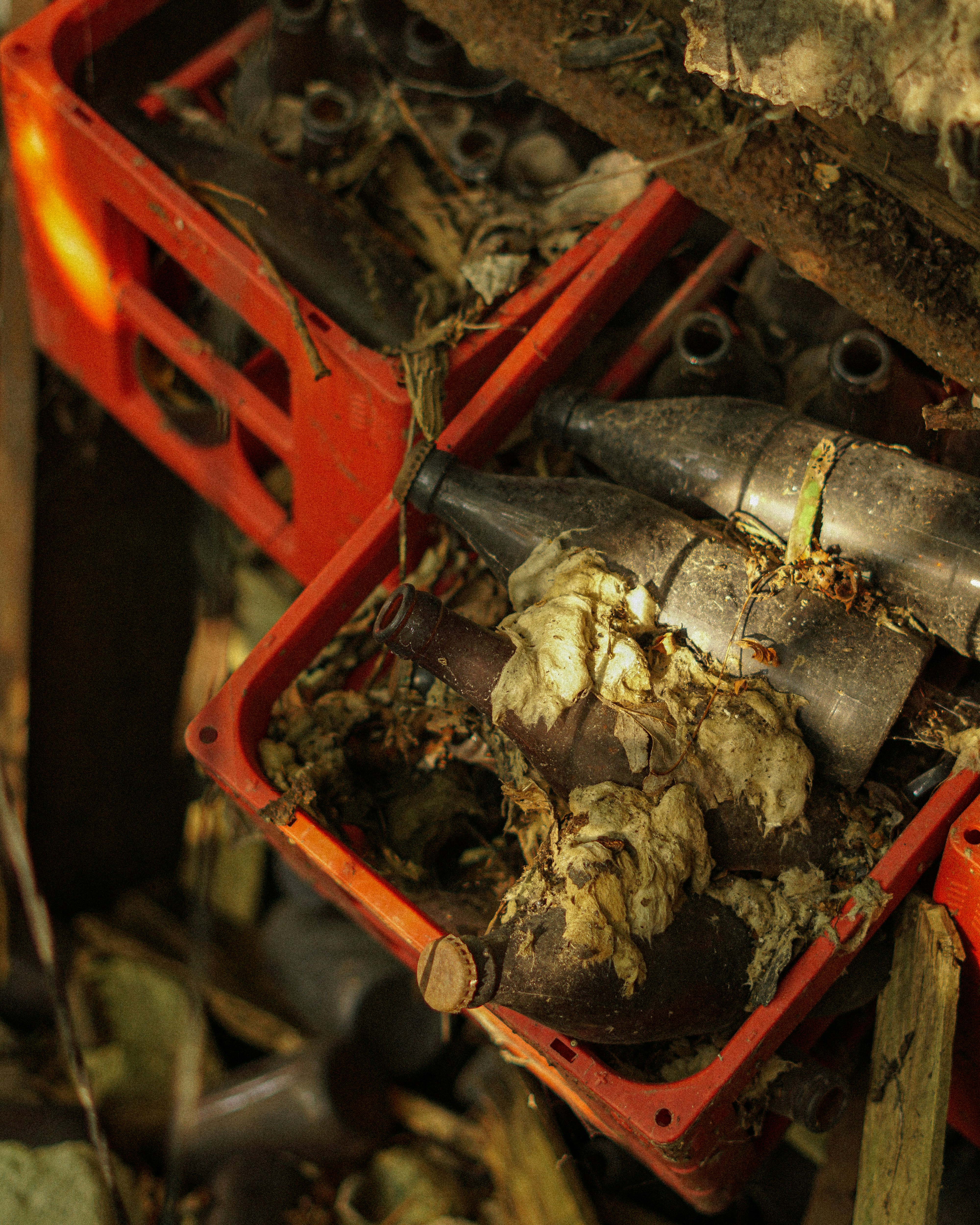 Old bottles in a red plastic crate