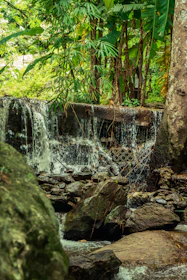 A cascading waterfall flows over rocks in a lush forest.