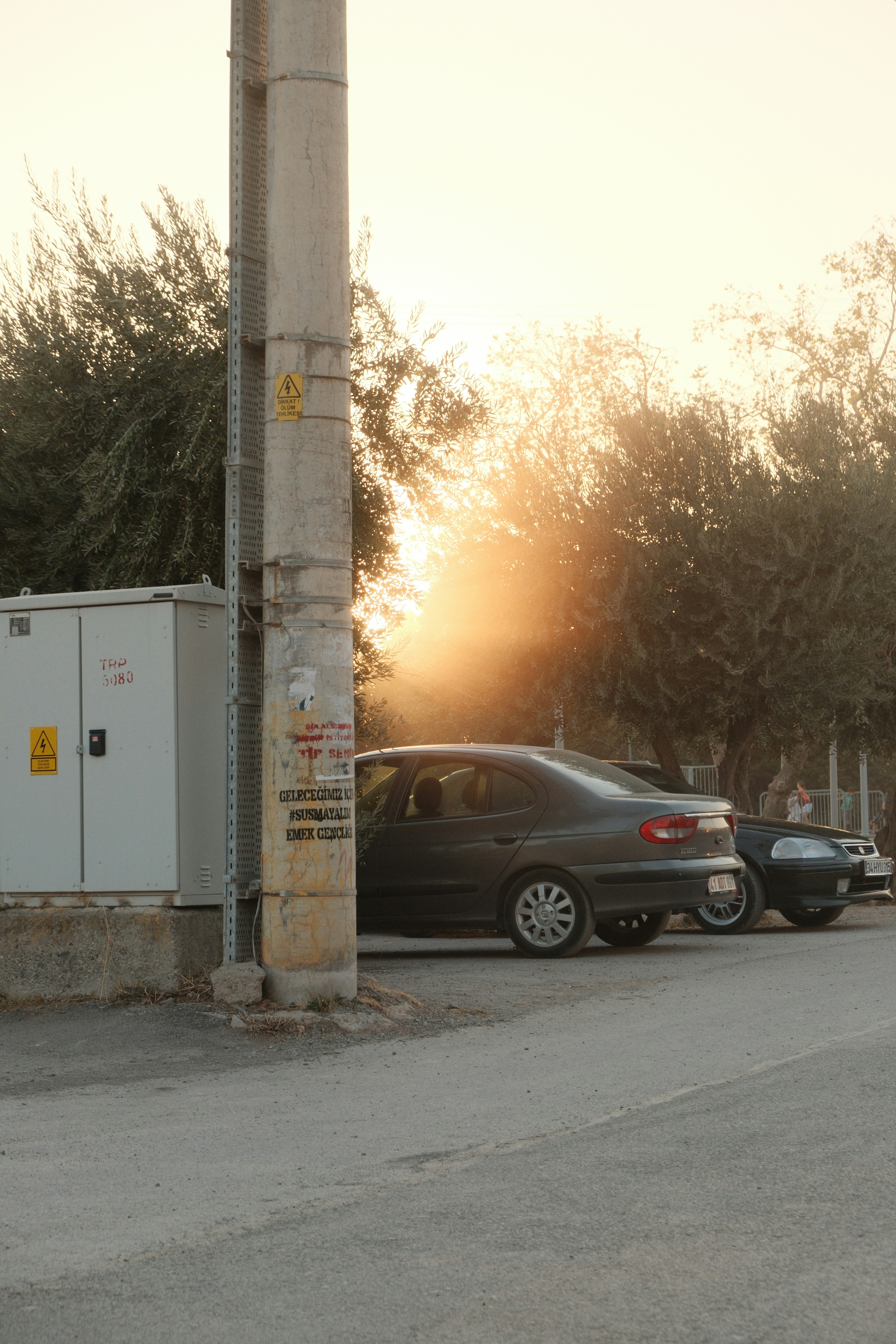 Cars parked near an electrical box with trees behind.