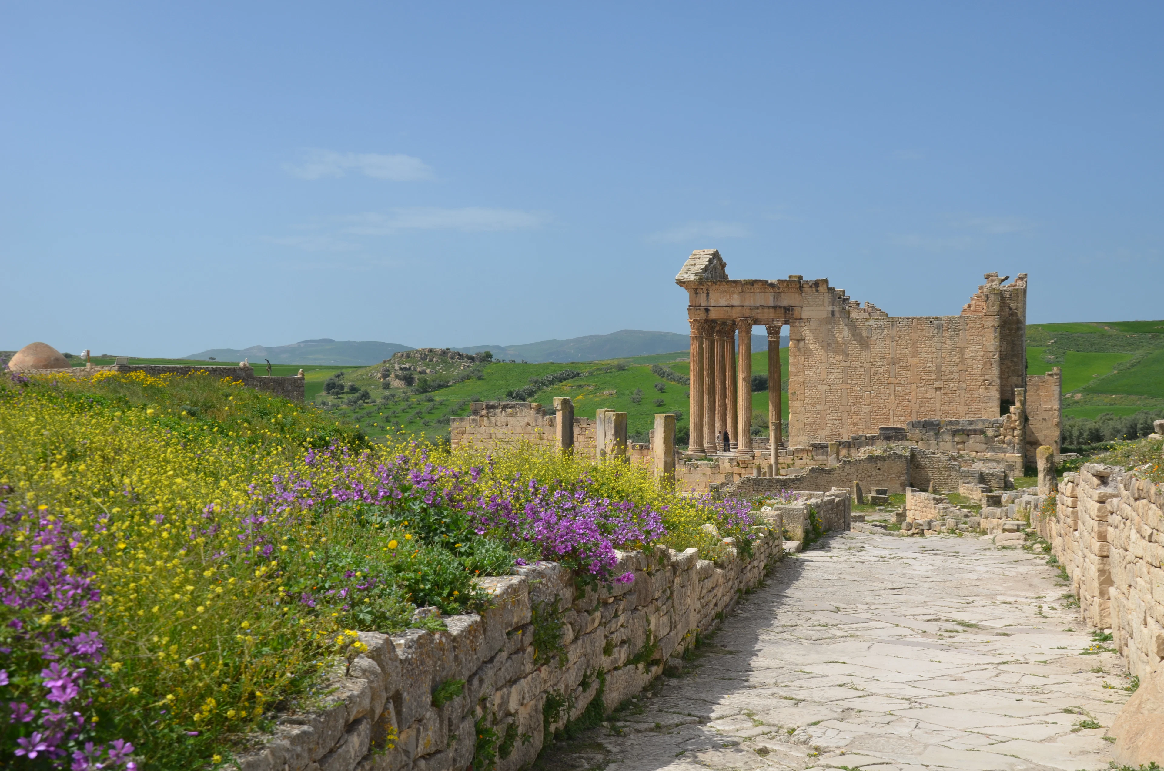 Wildflowers among the ruins of Dougga