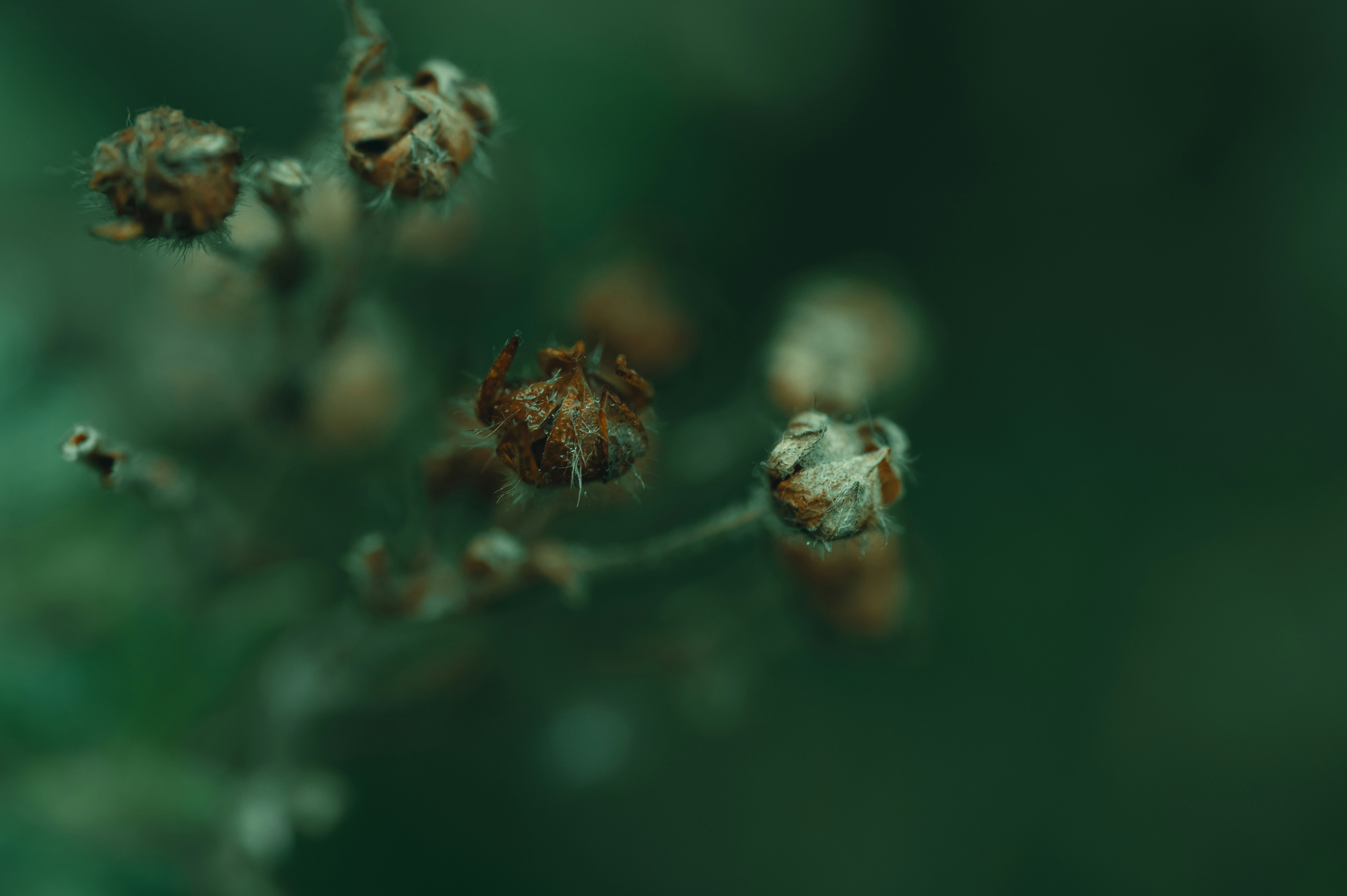 Photo by volodymyr_leush