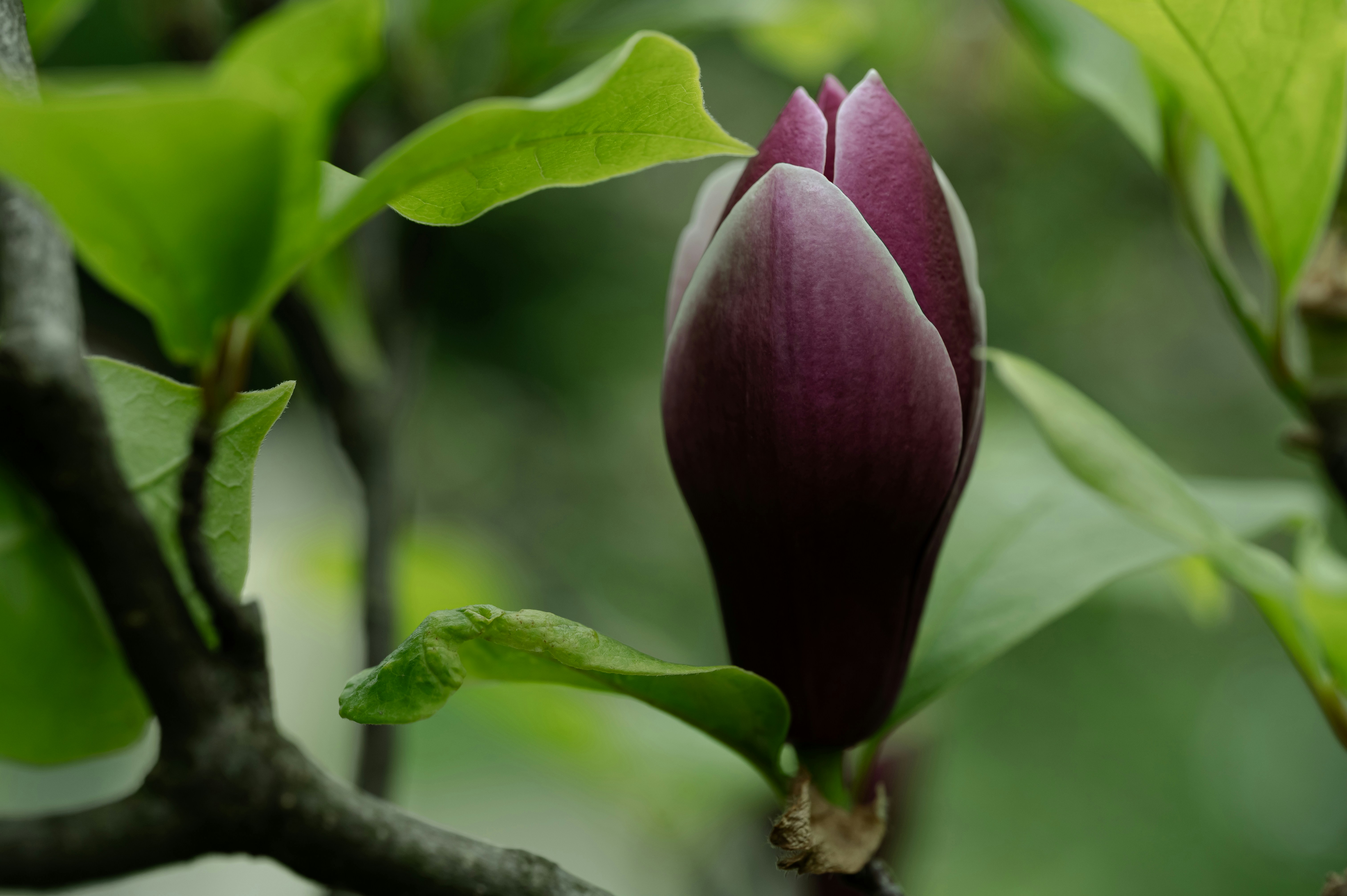 Photo by volodymyr_leush