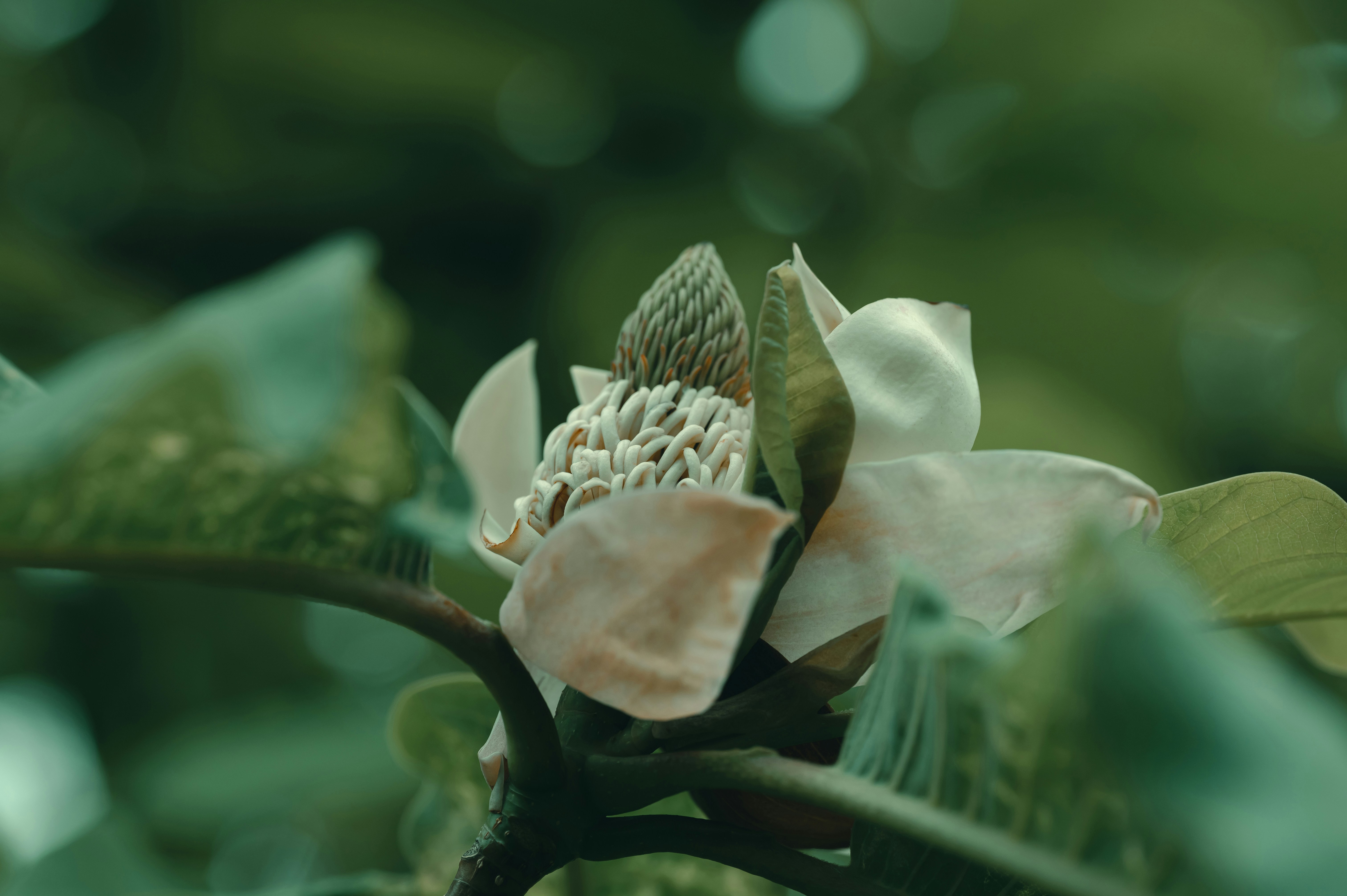 Photo by volodymyr_leush