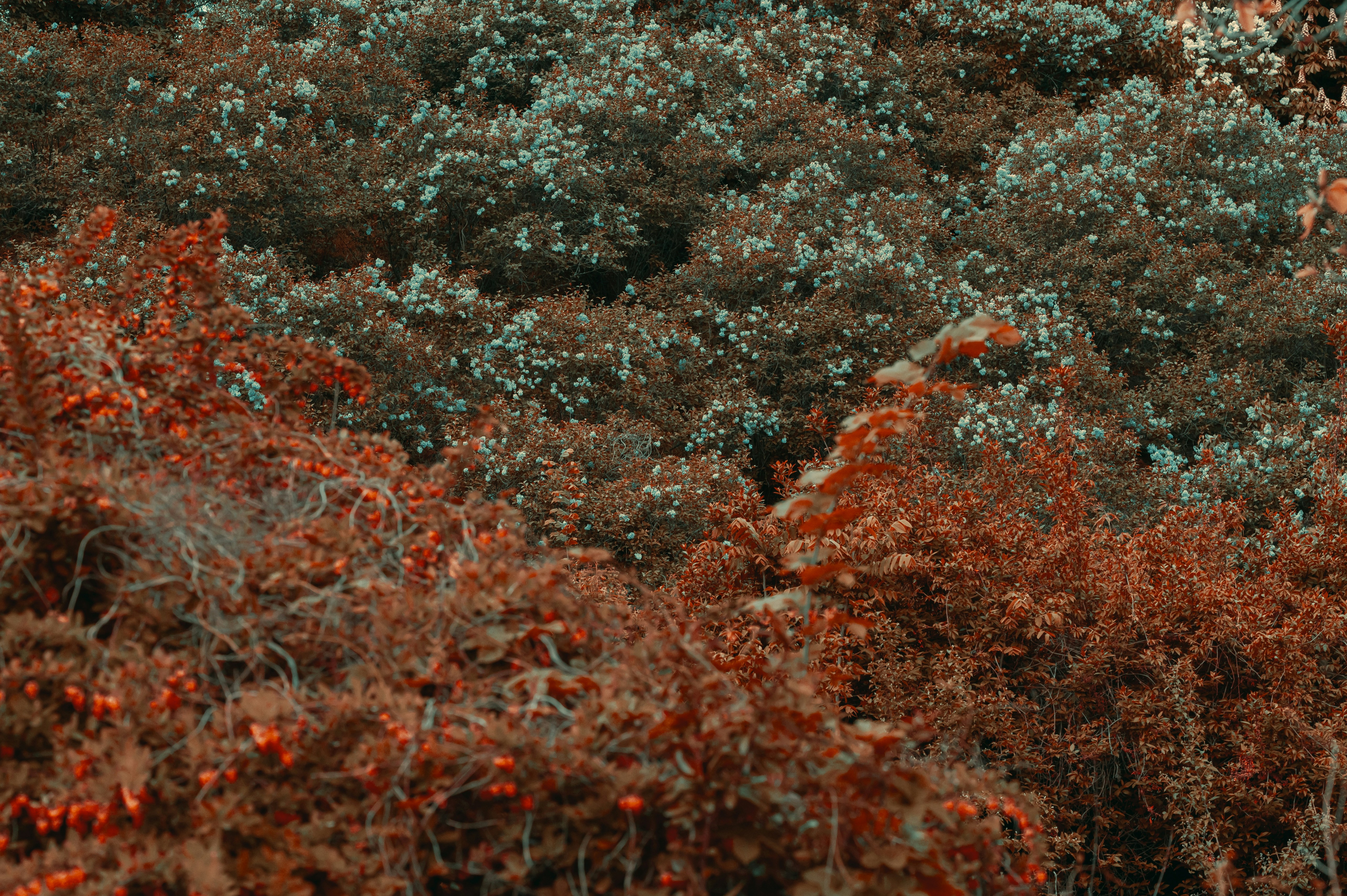 Photo by volodymyr_leush