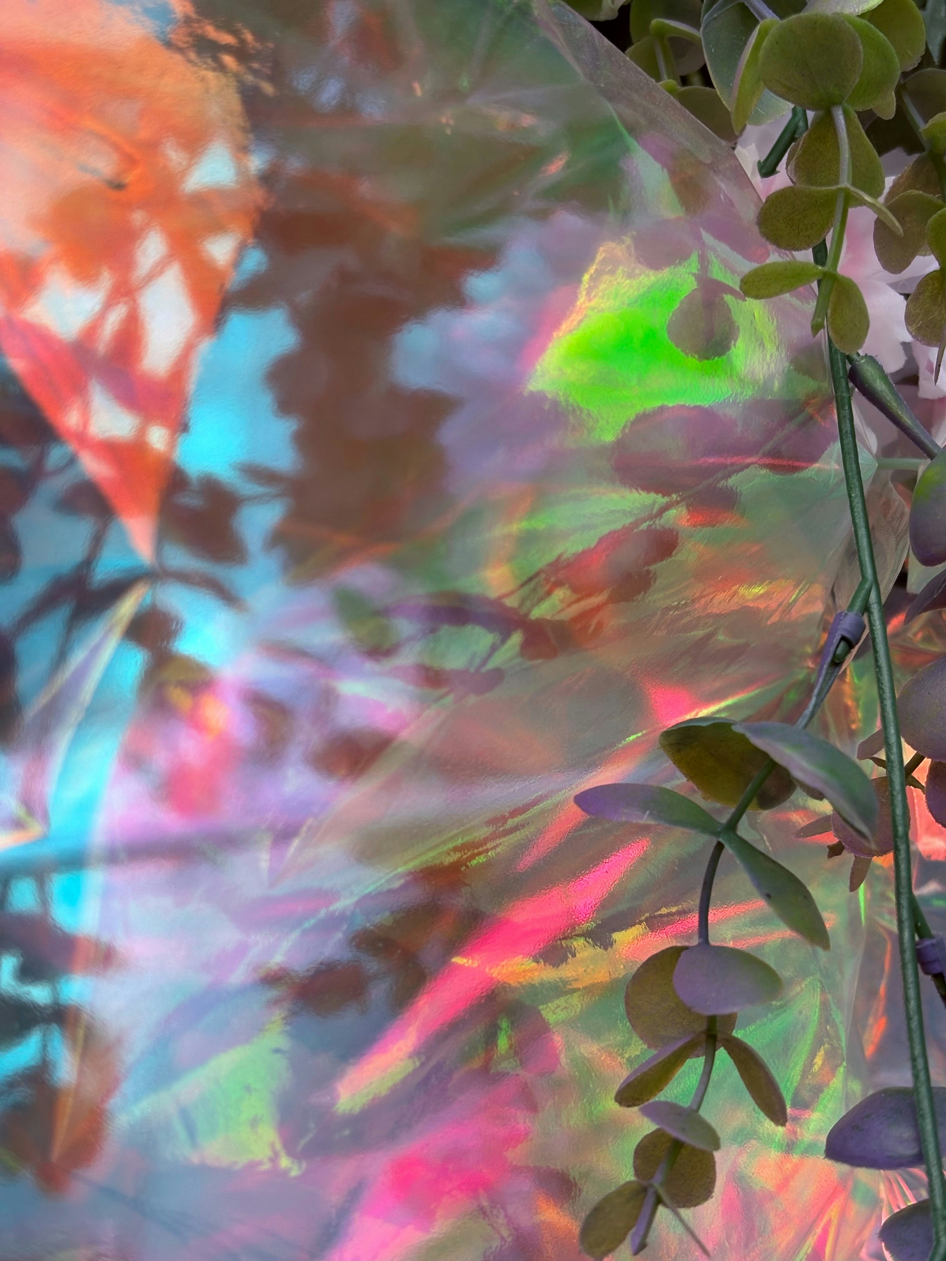 Photo by tashakostyuk