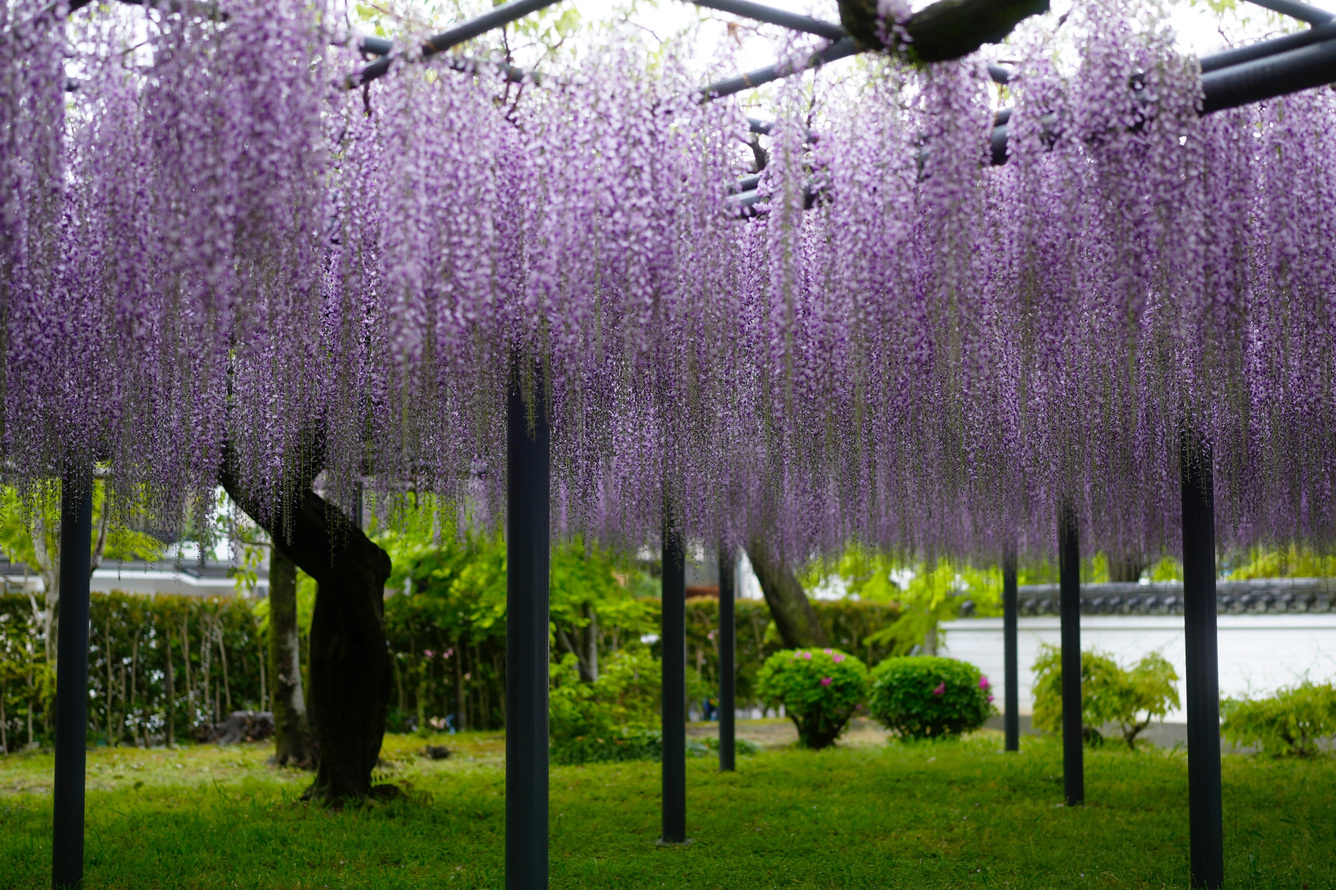 Photo by okuyama_leo