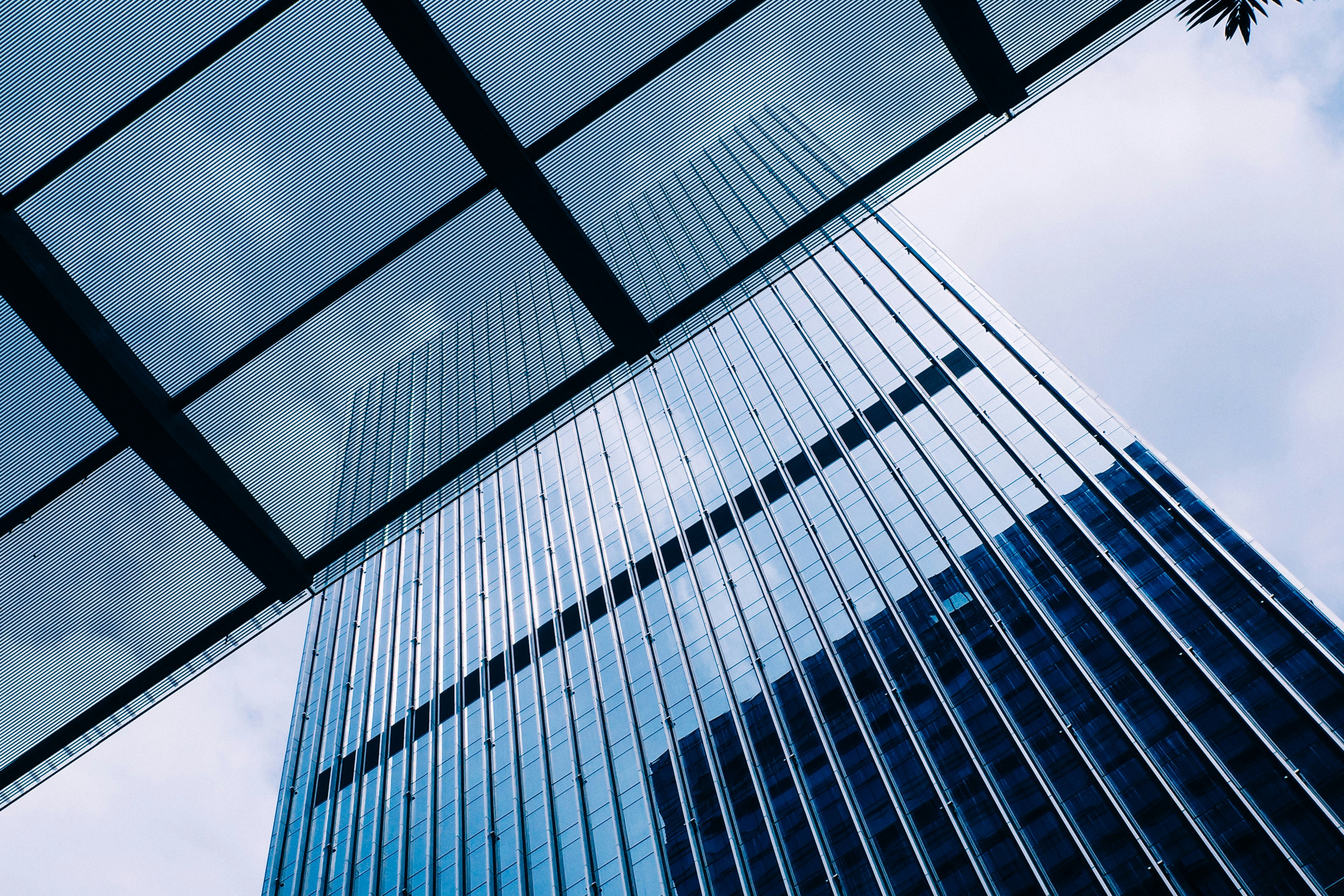 Photo by dickenslin76