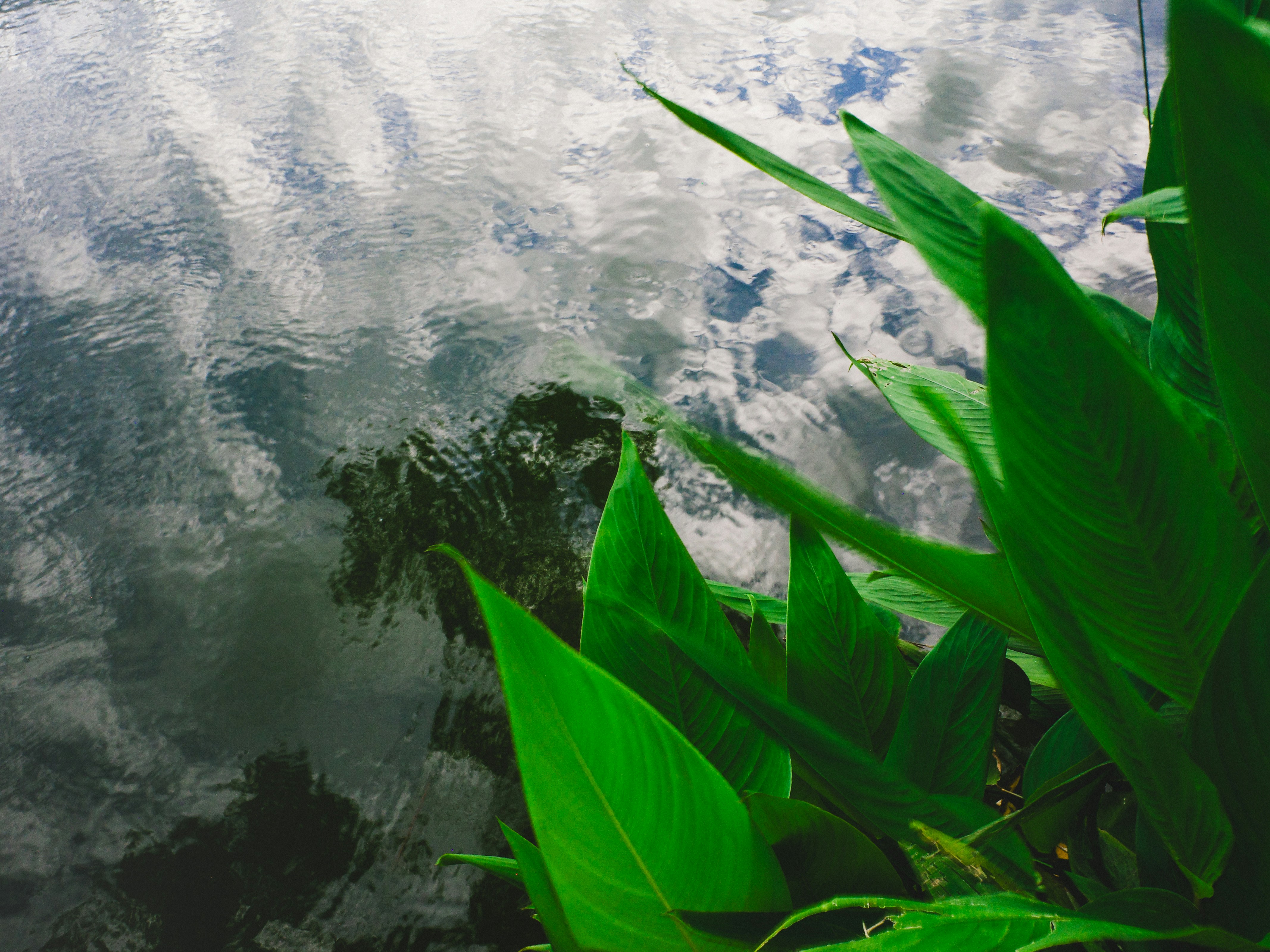 Photo by dickenslin76