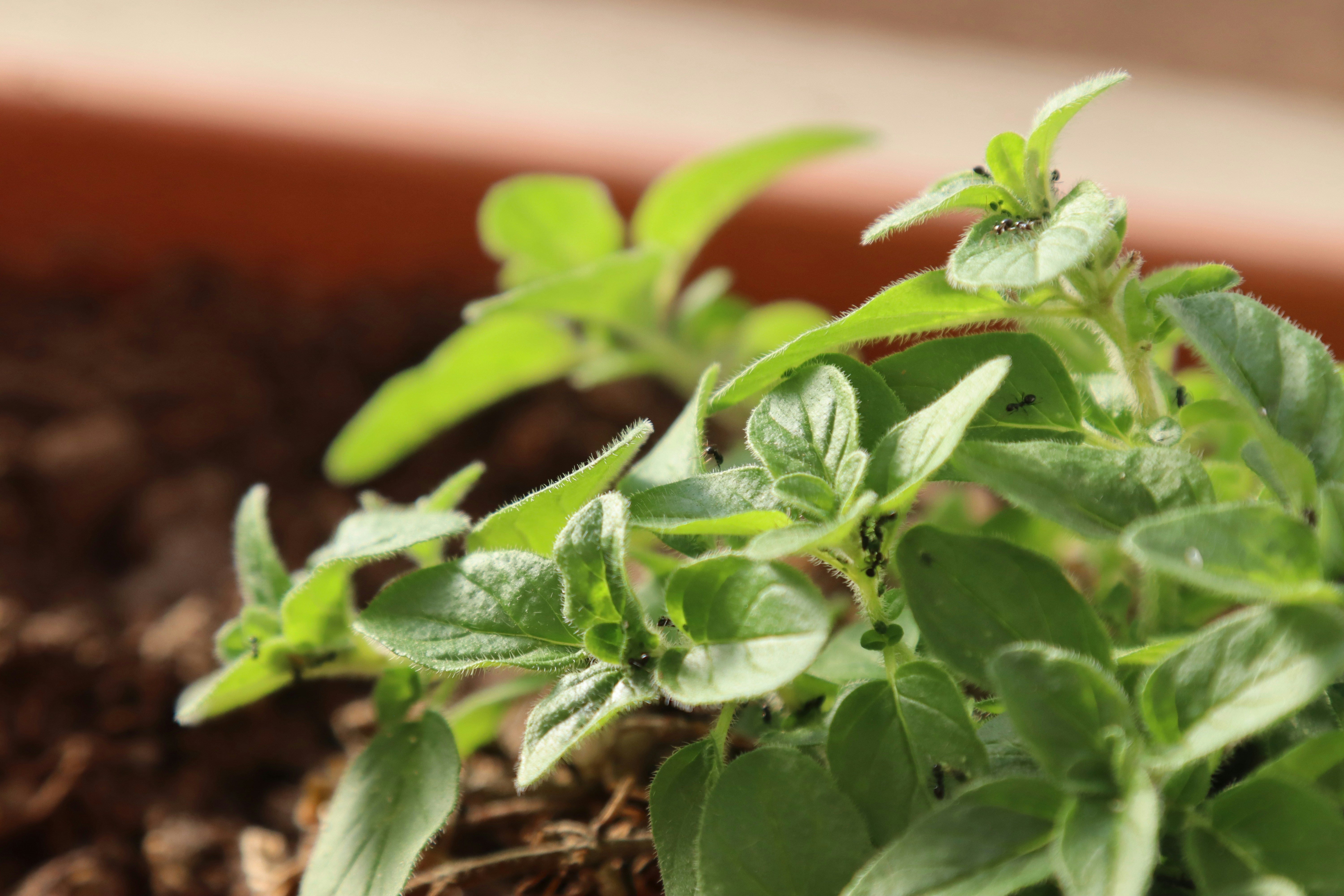 Photo by madikaystudio