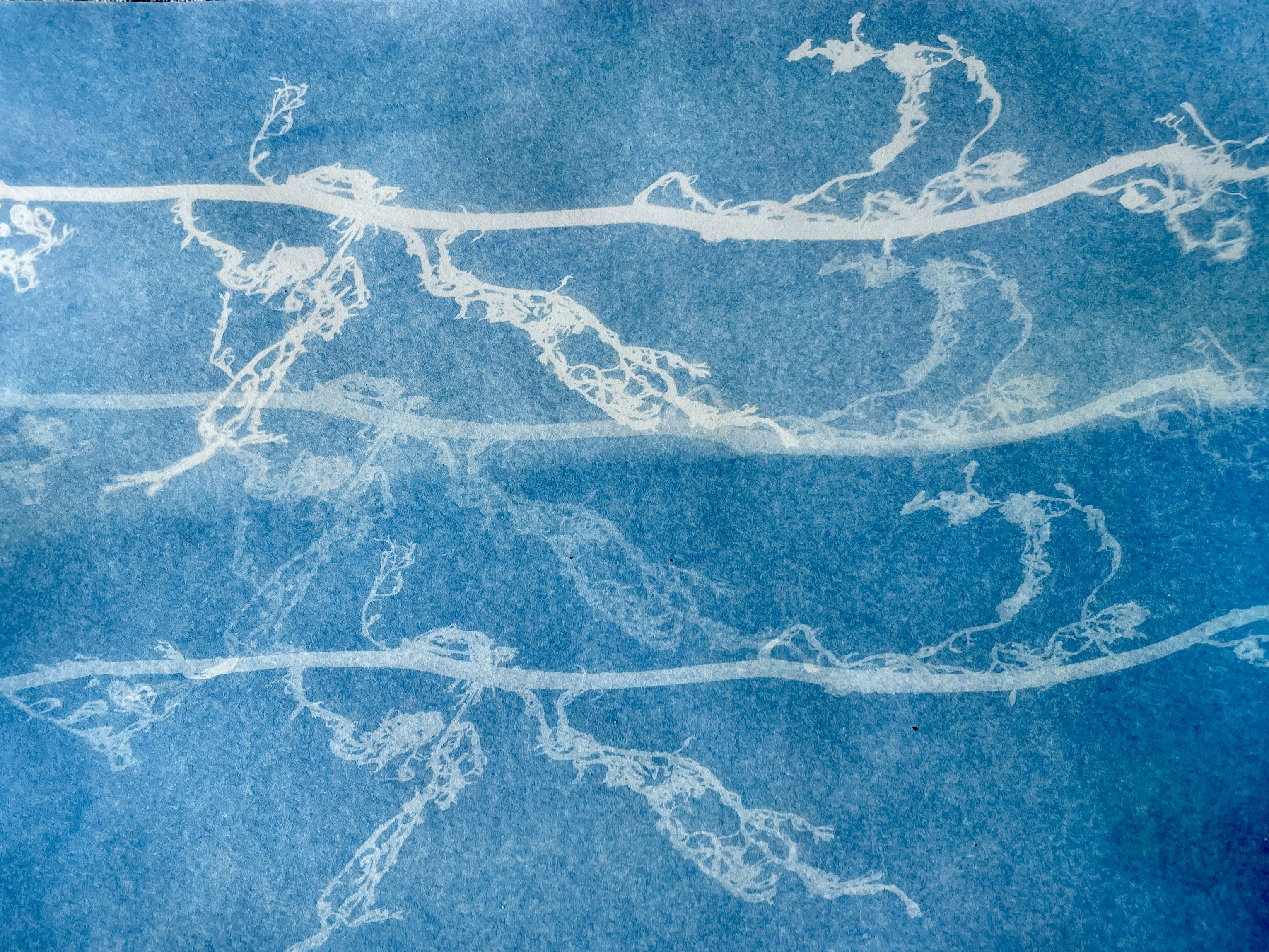 Abstract blue background with white organic lines