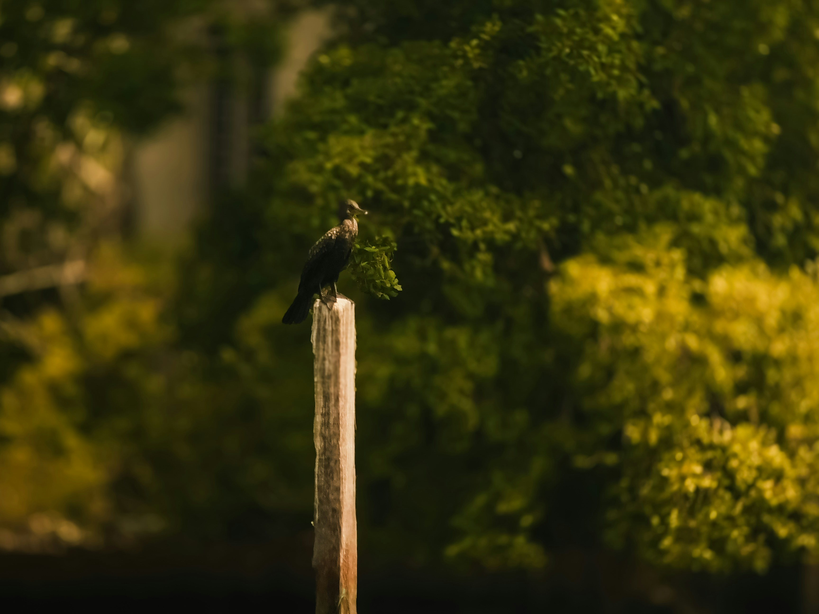 Photo by true_reflection_s