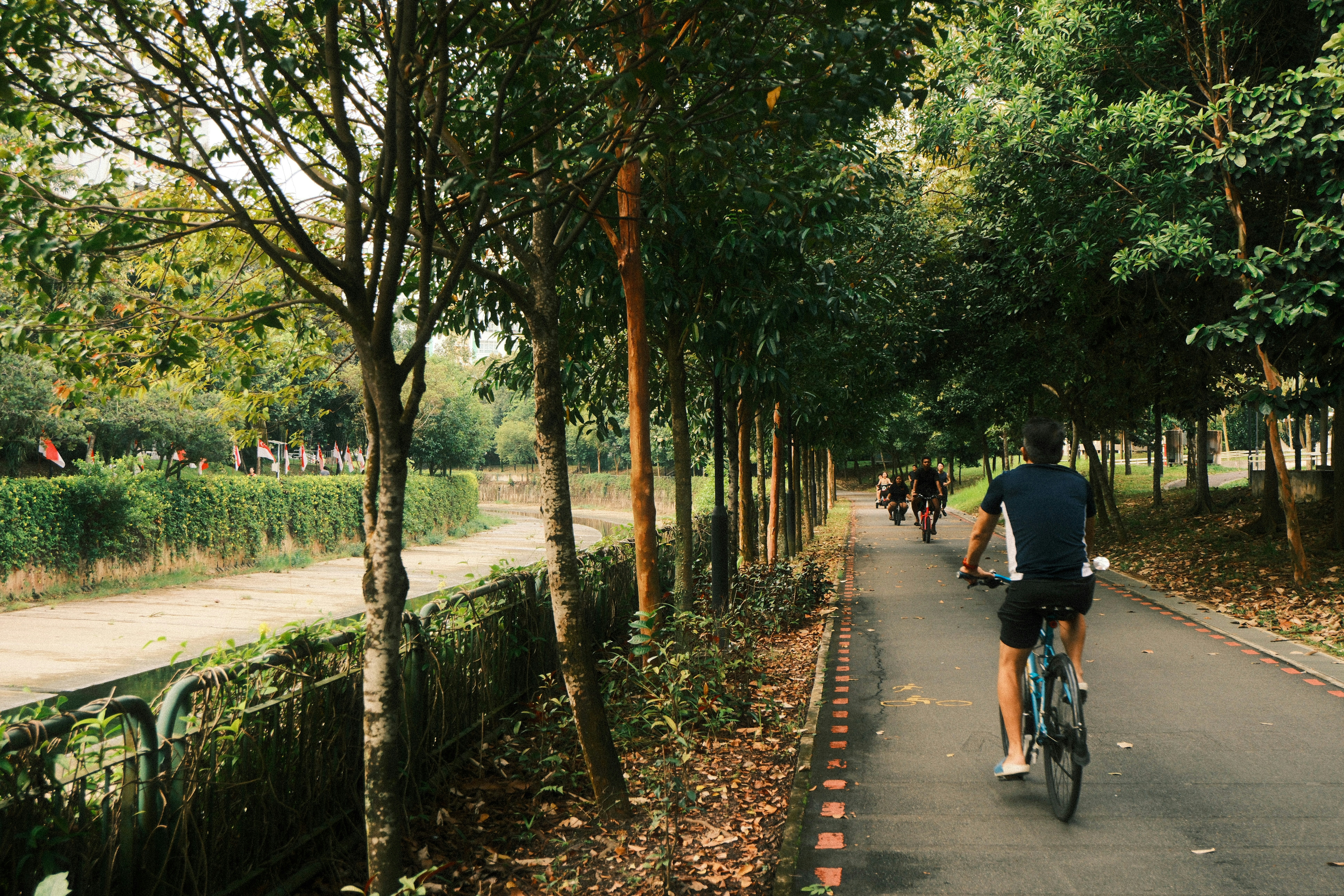 People cycling on a paved path through trees
