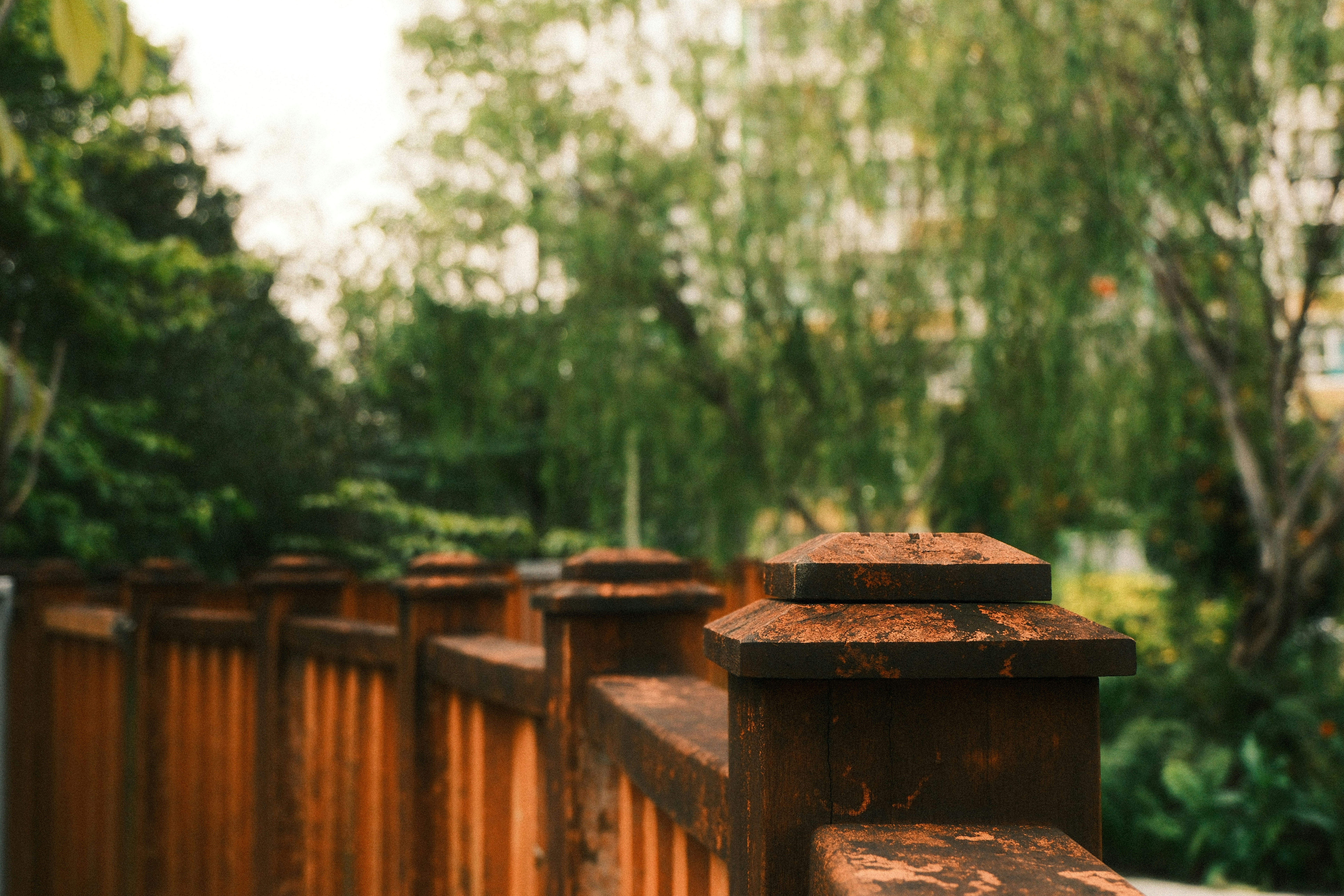 Wooden fence posts with green trees in background