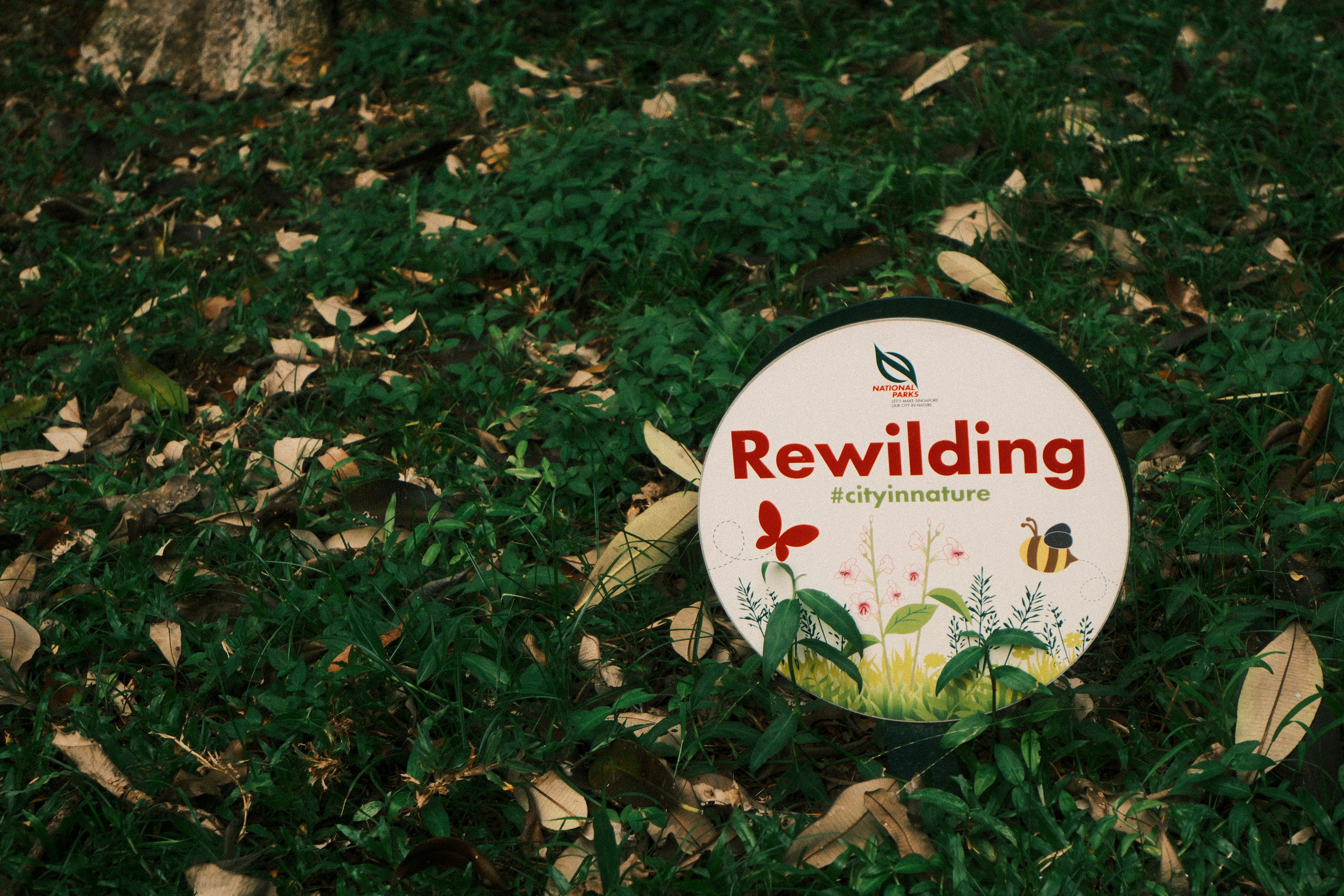 How to Maximize Your Return: Top $1 Dollar Store Products to Resell