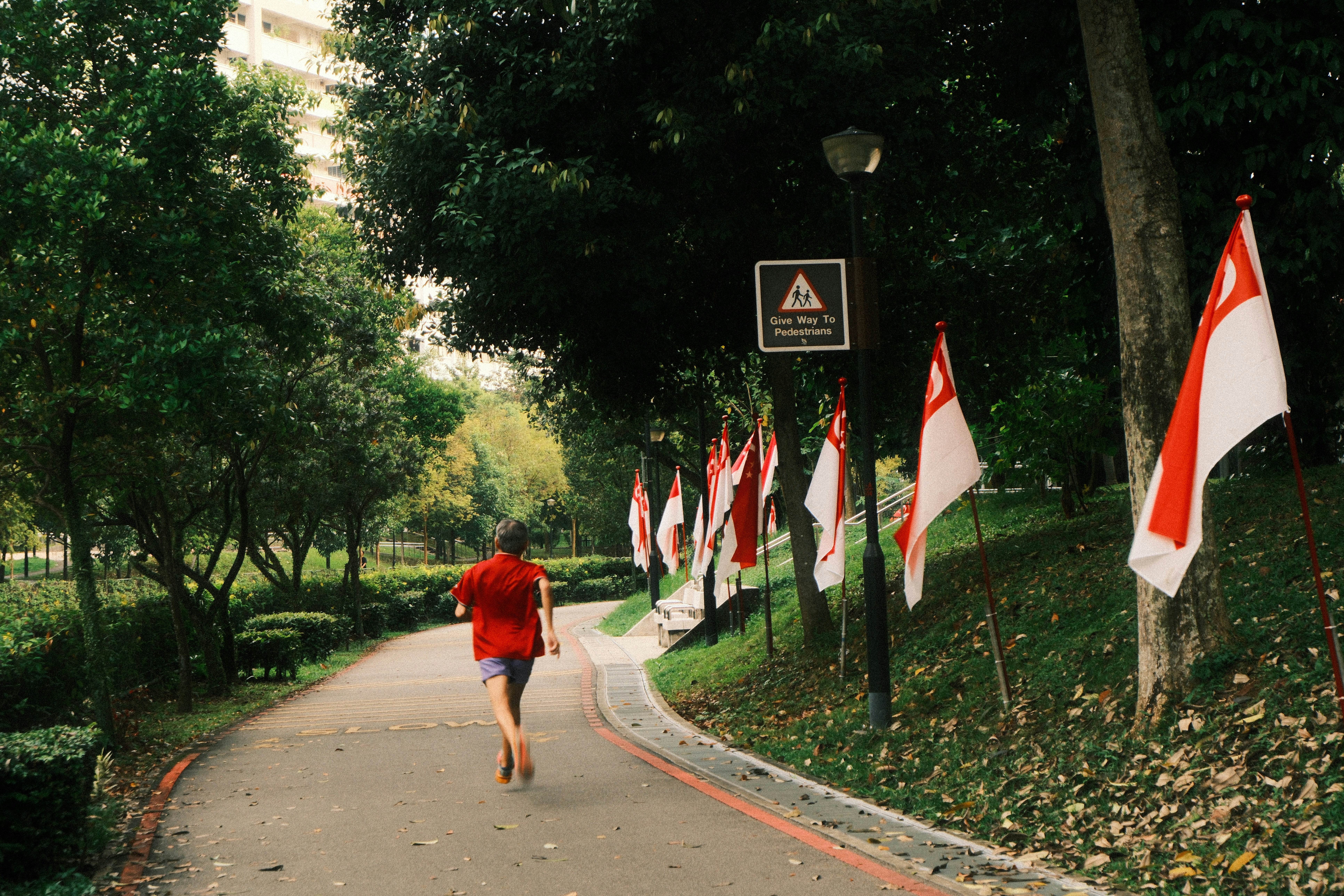 Man jogging on a park path with flags