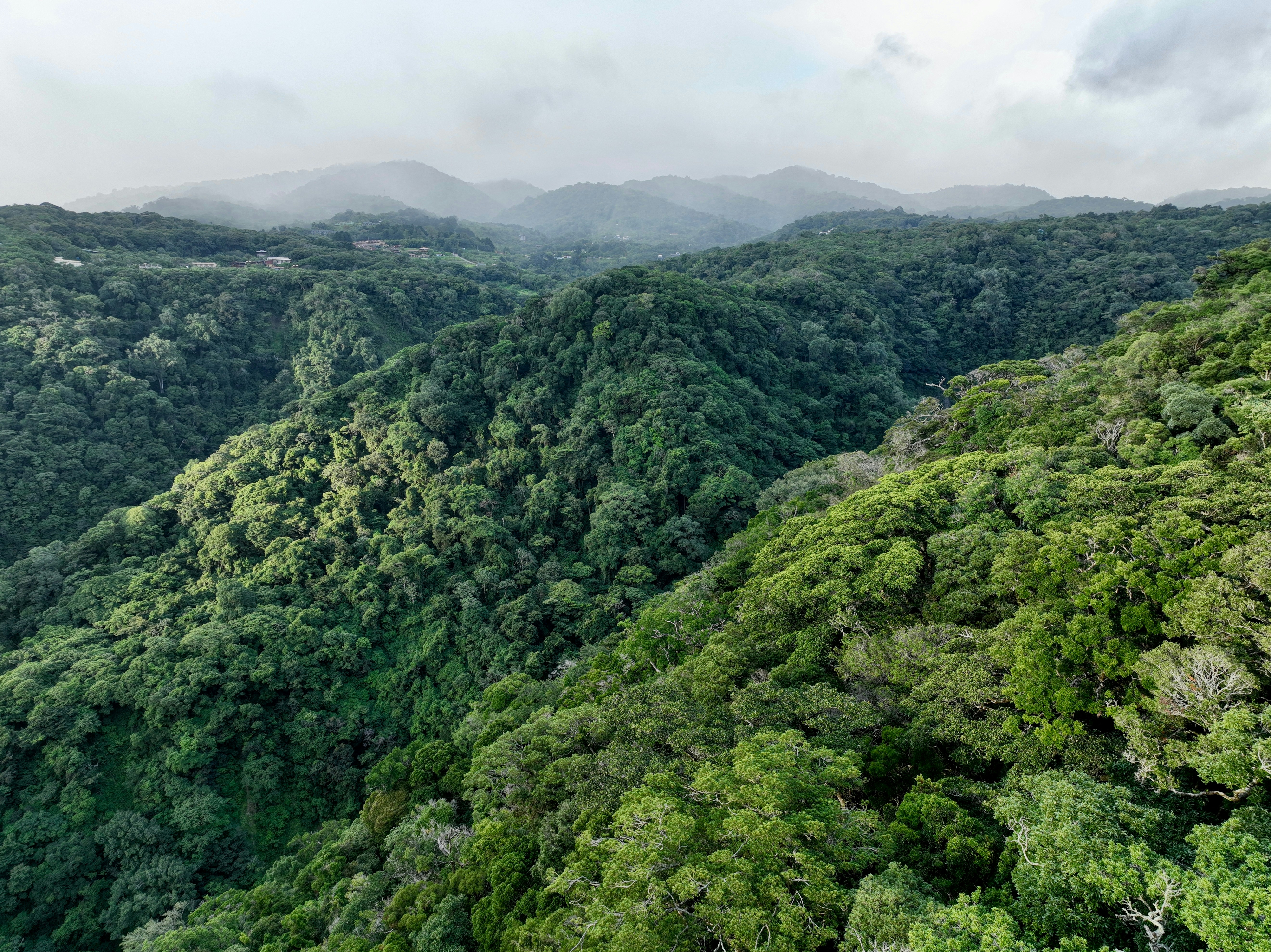 Photo by andreasfelske