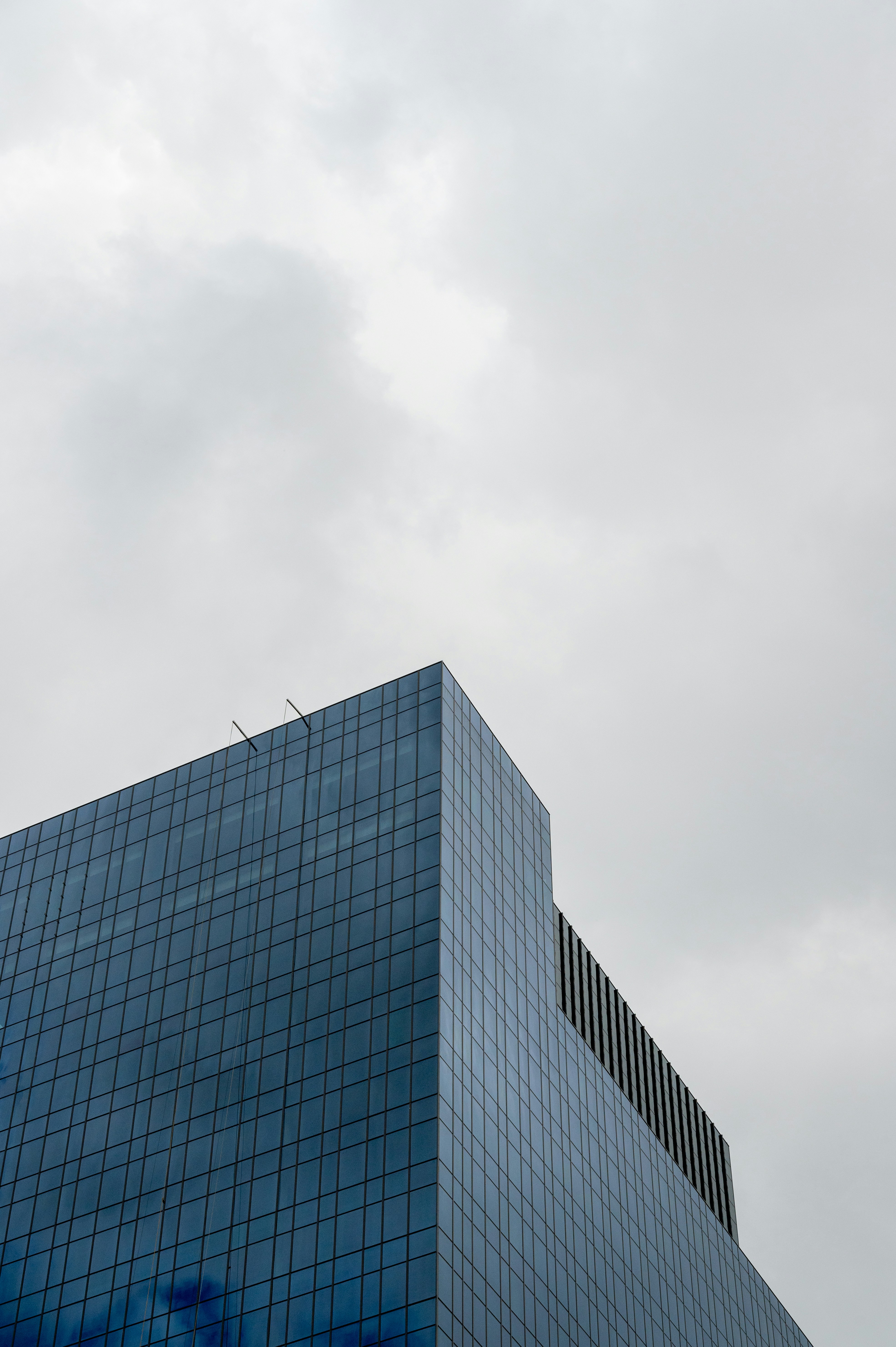 Photo by turquocabbit