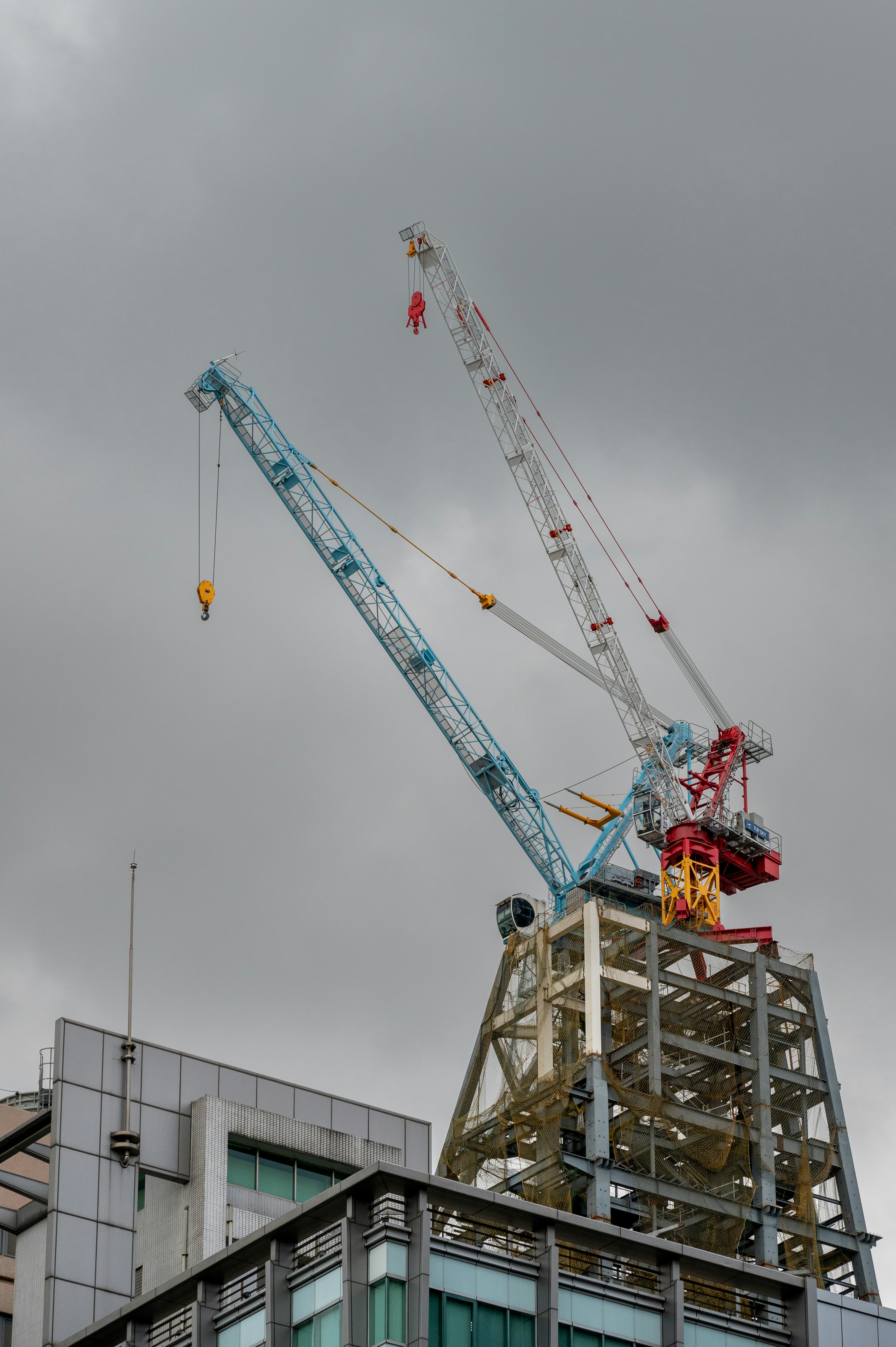 Photo by turquocabbit