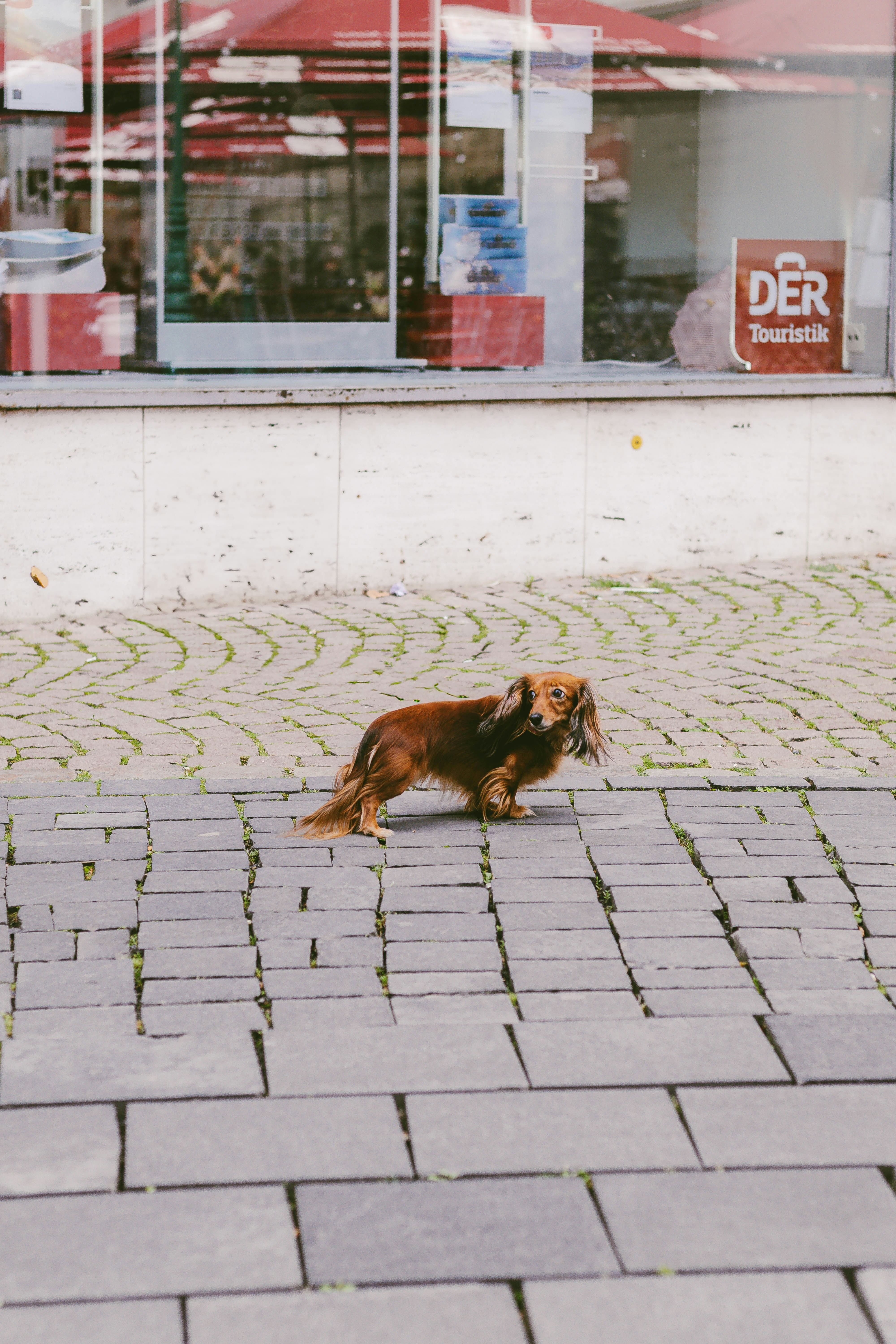 Photo by arlindphotography