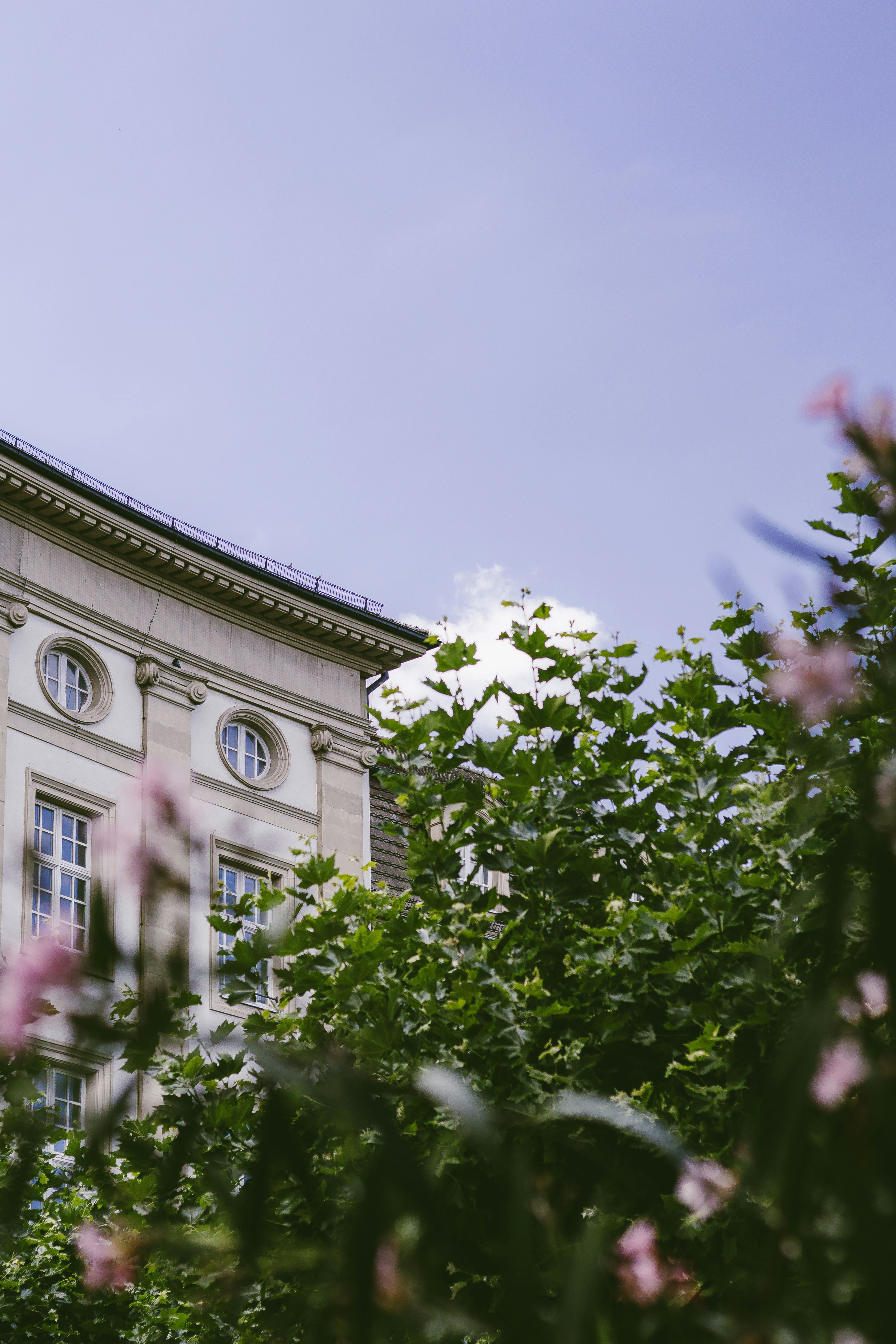 Photo by arlindphotography