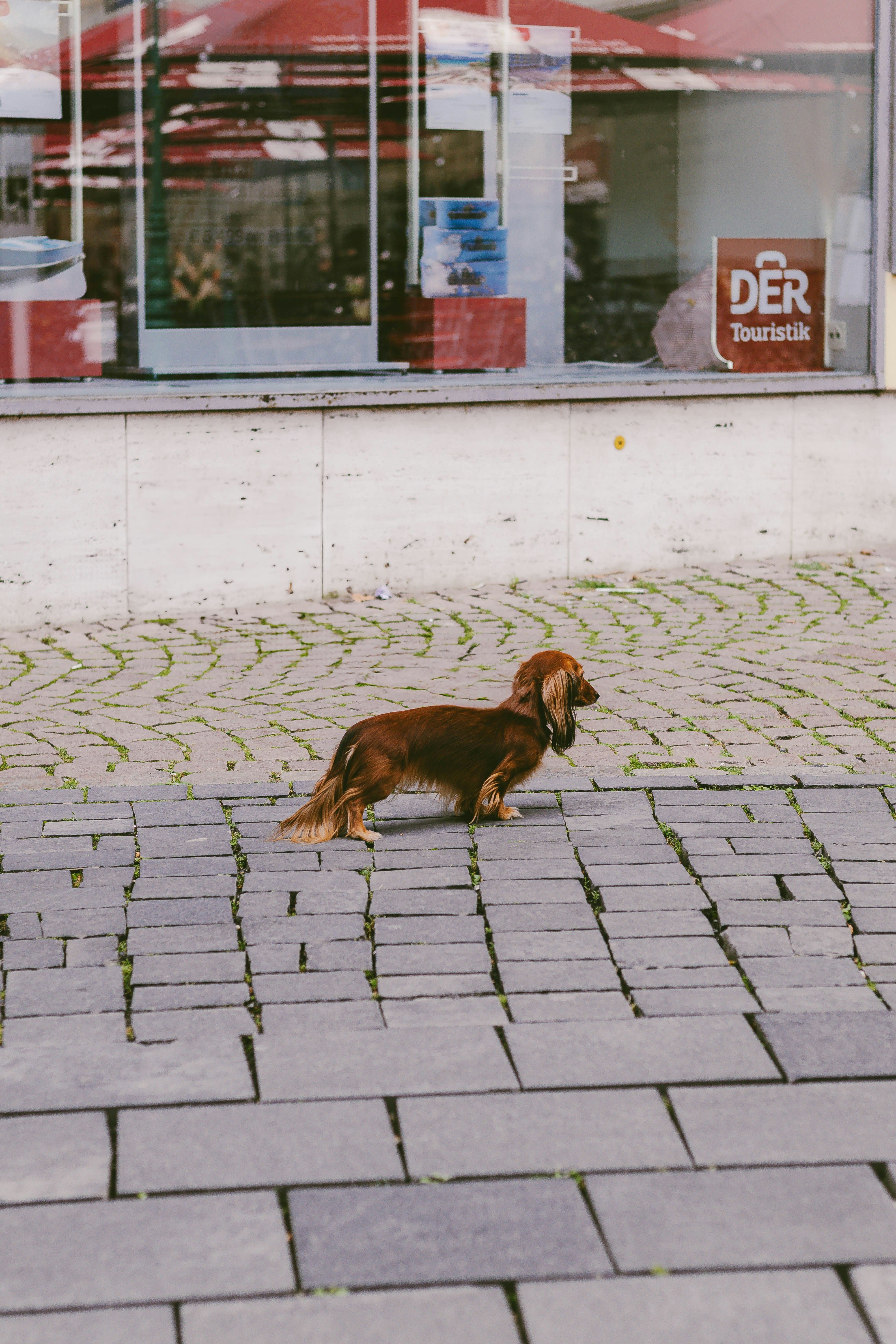 Photo by arlindphotography