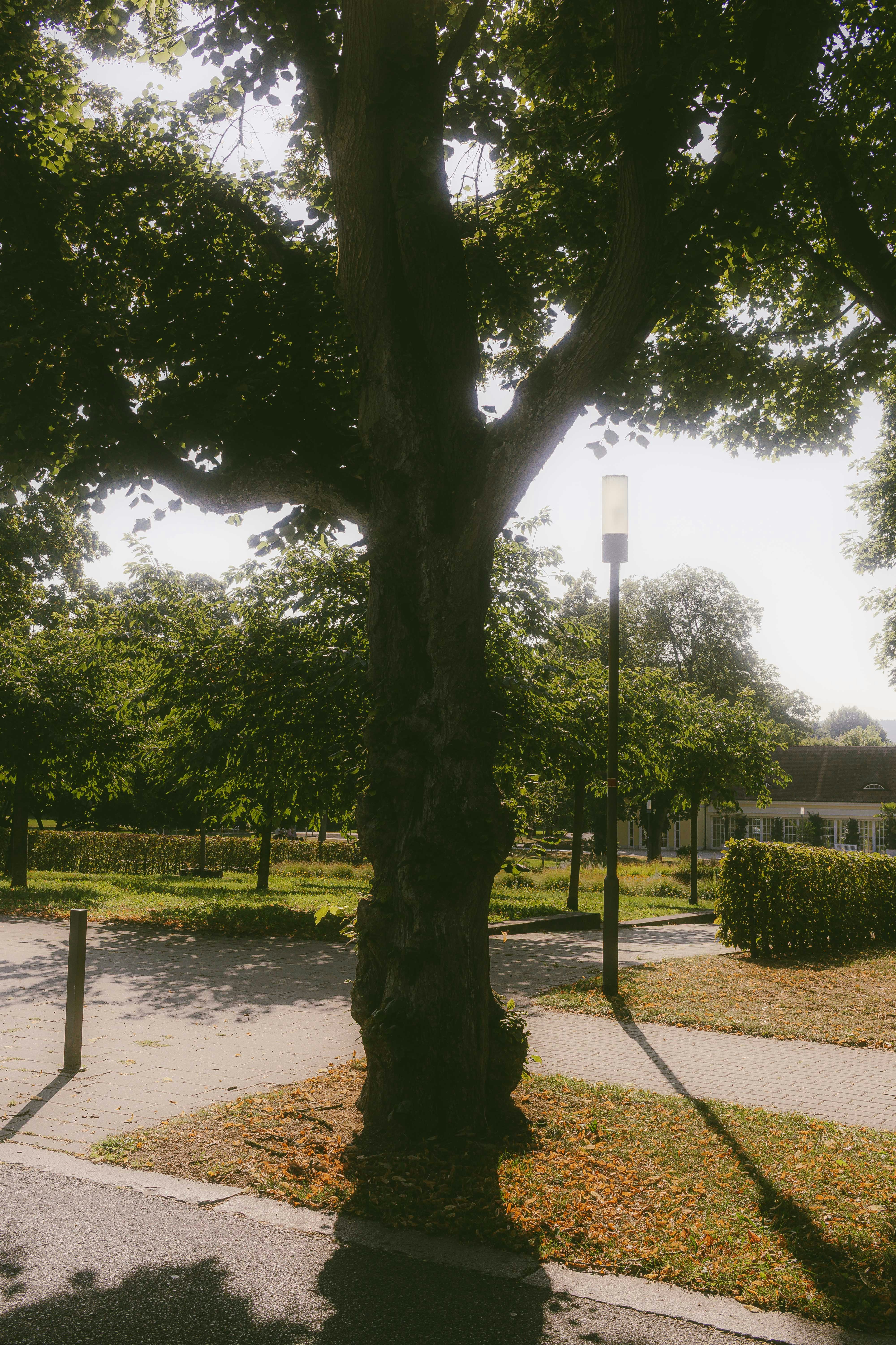 Photo by arlindphotography