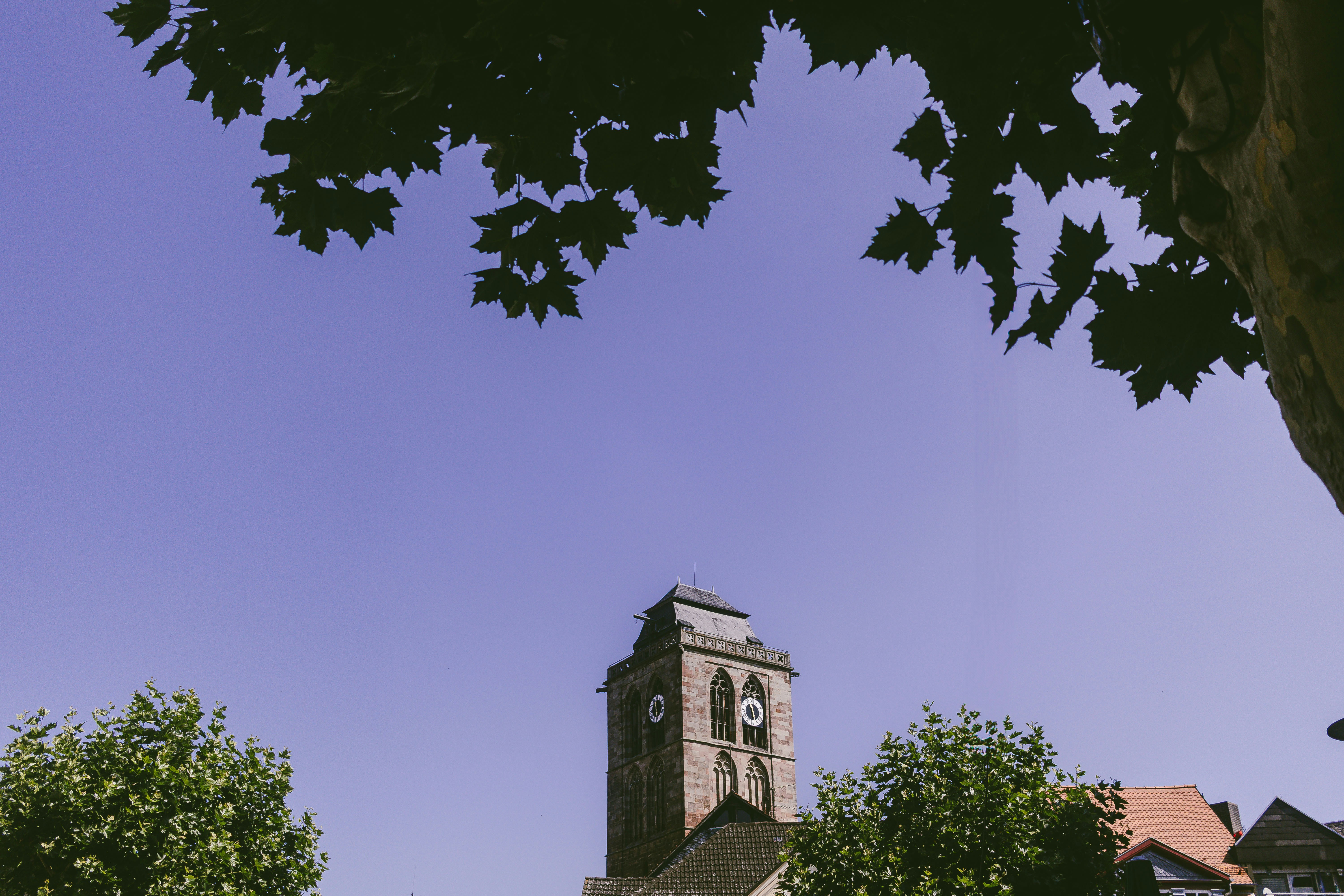 Photo by arlindphotography