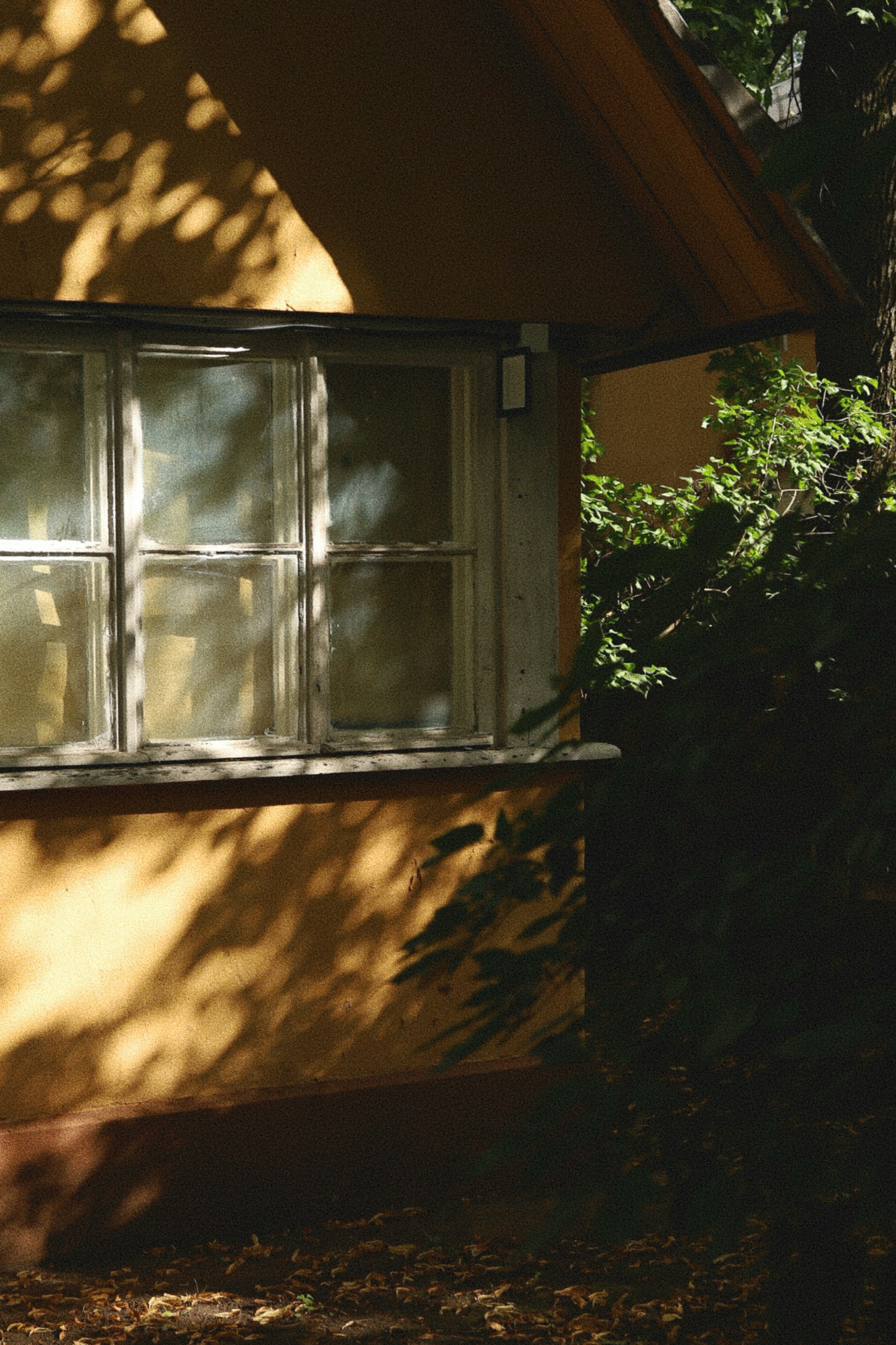 Photo by evgeniya_pron