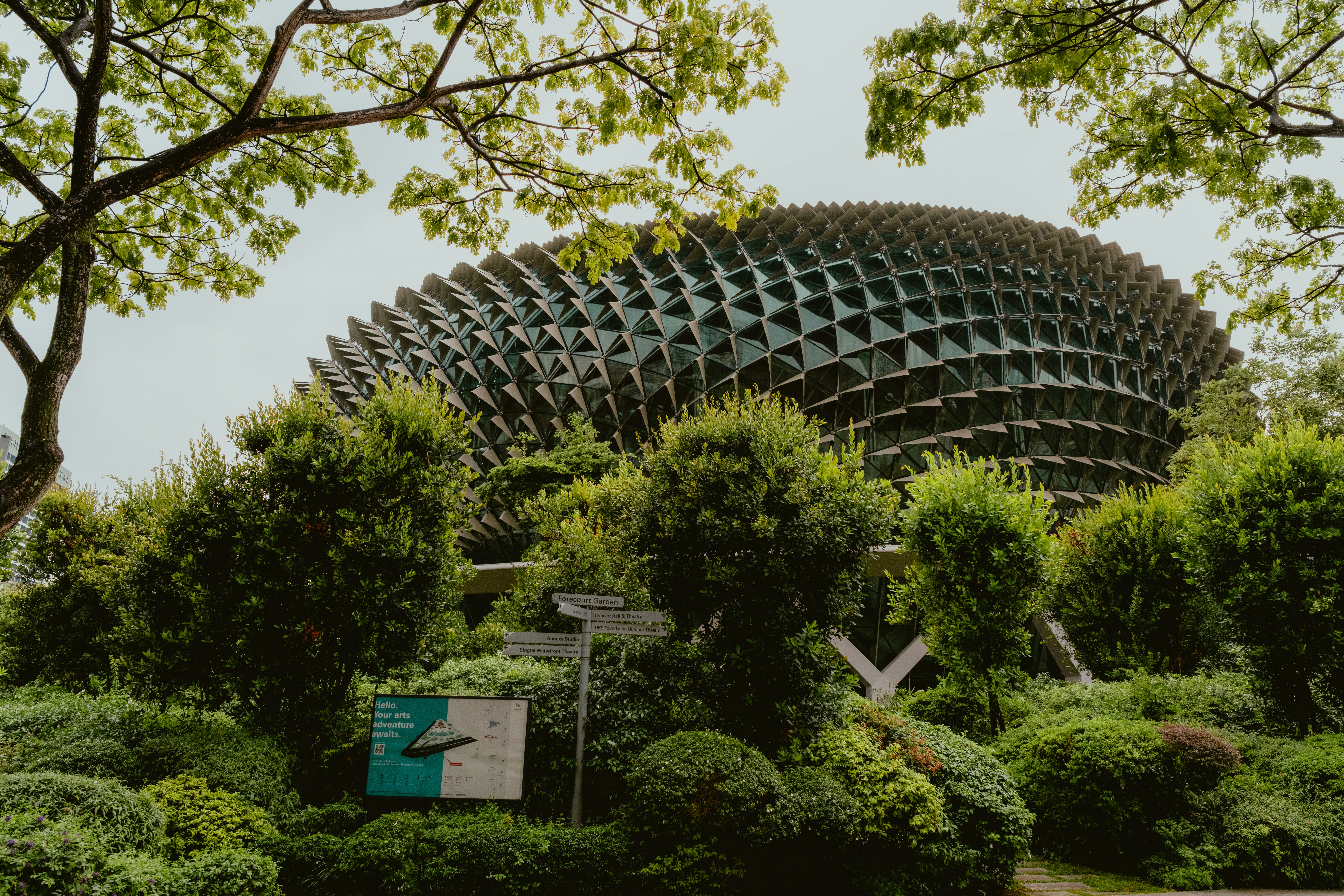 Photo by jaydraws2019