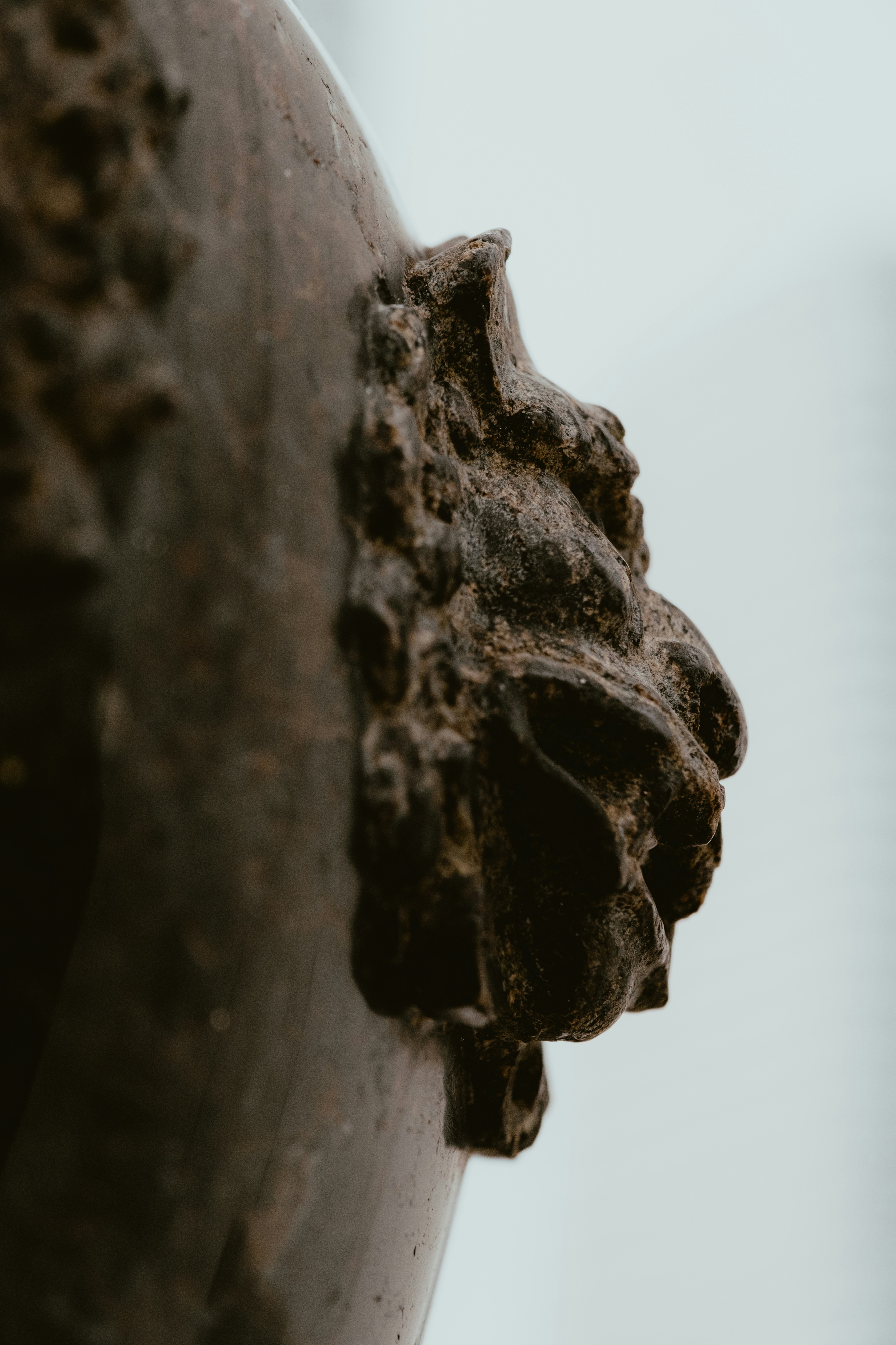 Photo by jaydraws2019