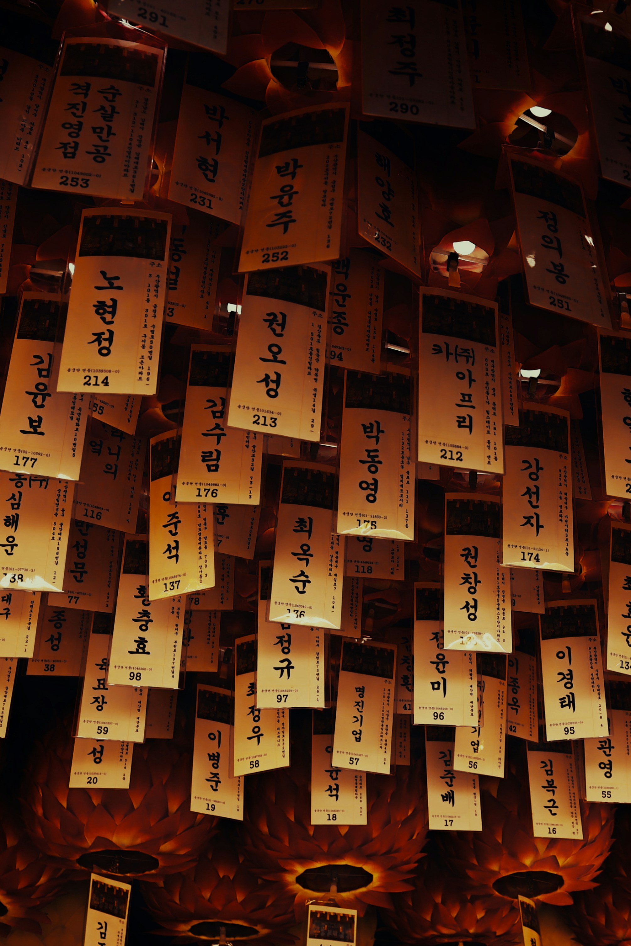 Photo by evgeniya_pron