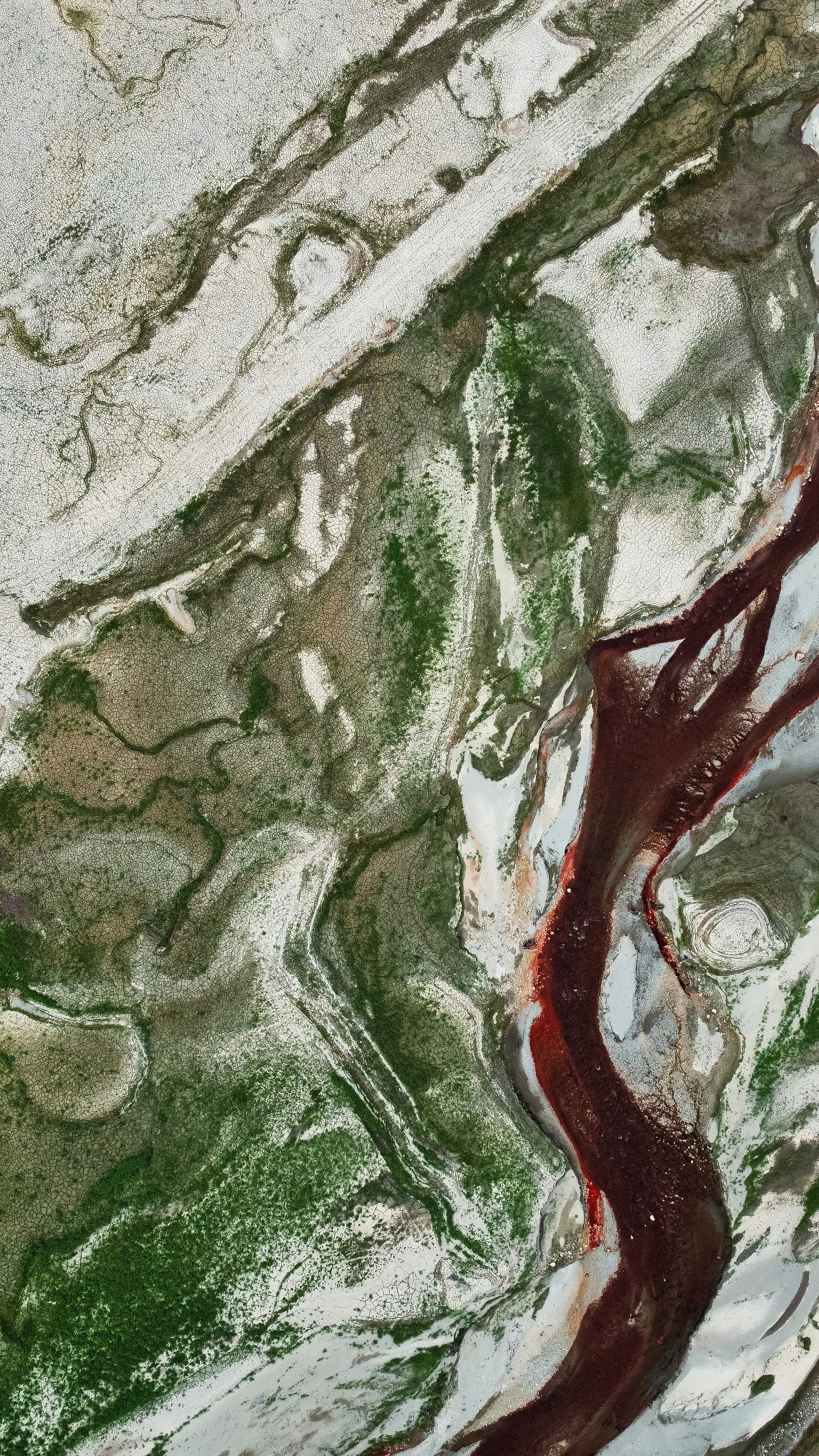 Aerial view of a dry riverbed with vegetation.