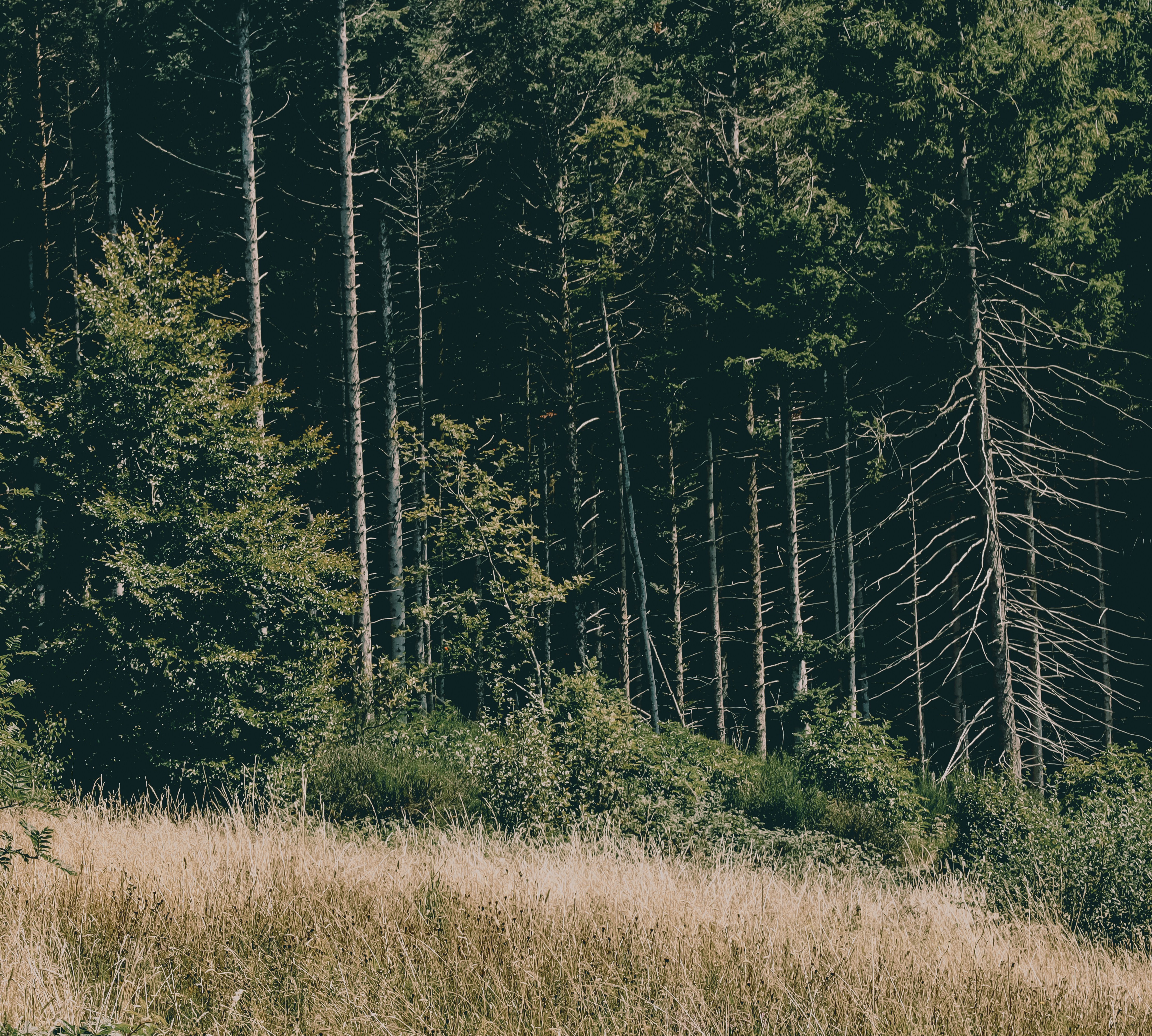 Photo by aureliesagnol