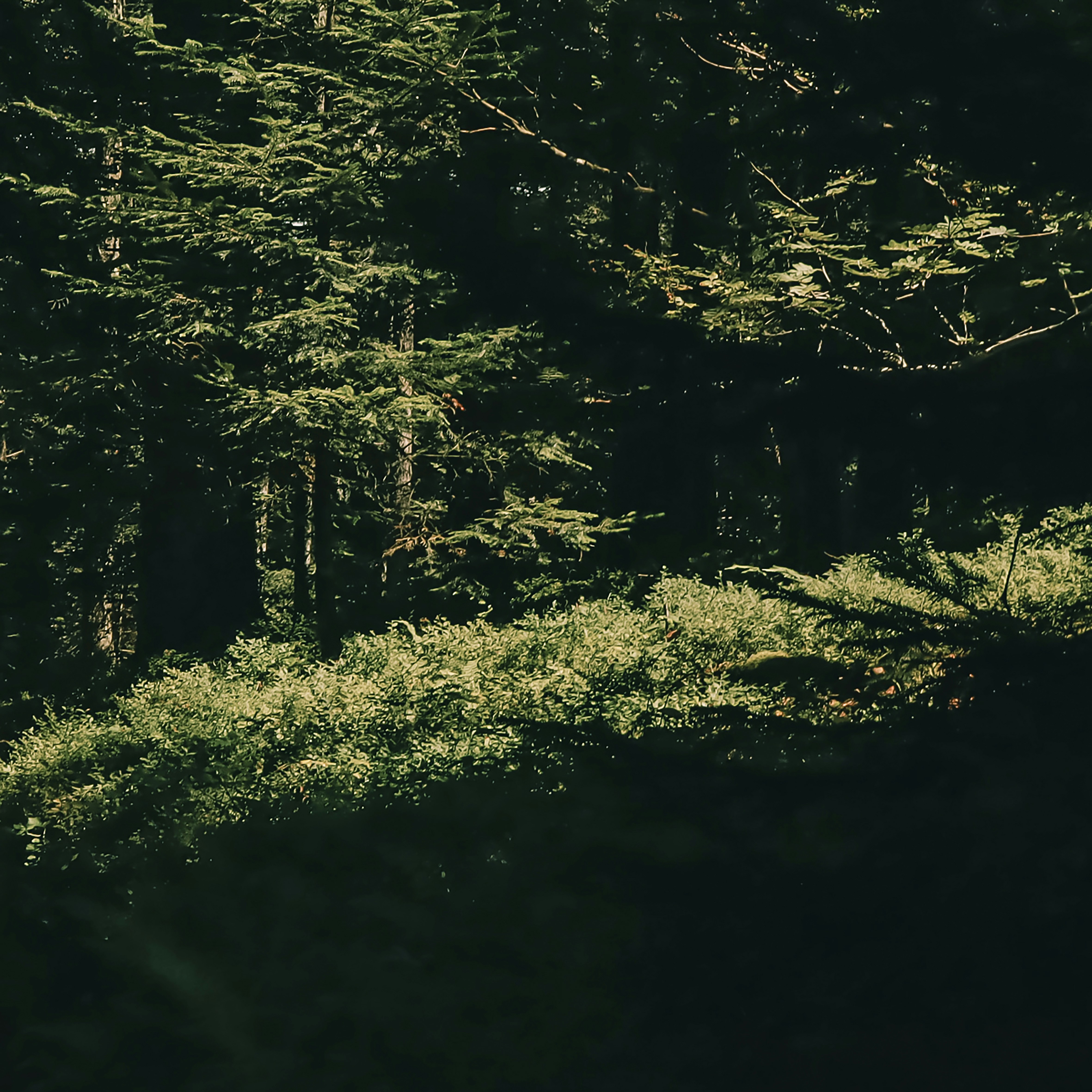 Photo by aureliesagnol