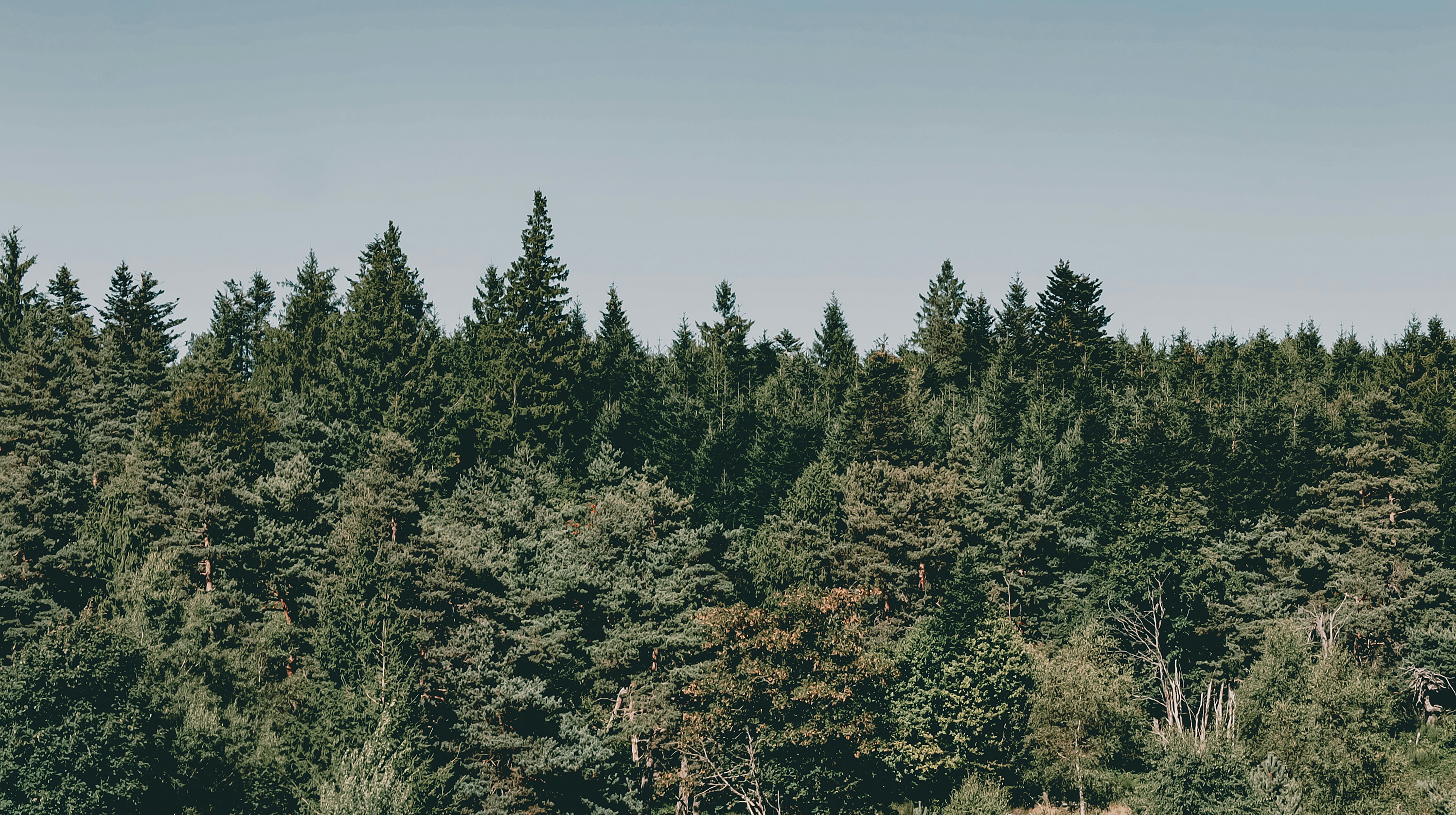 Photo by aureliesagnol