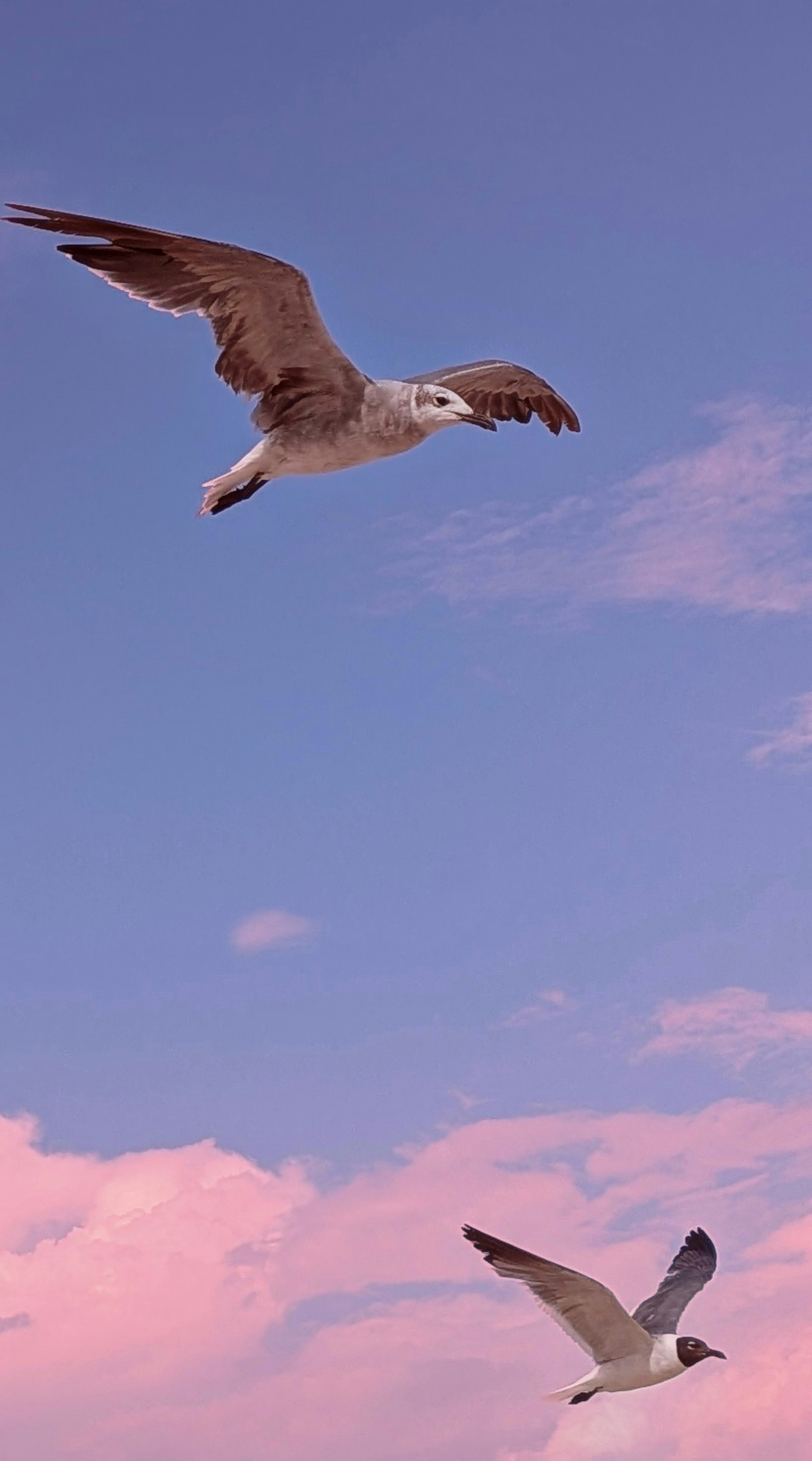 Photo by asphotographypics