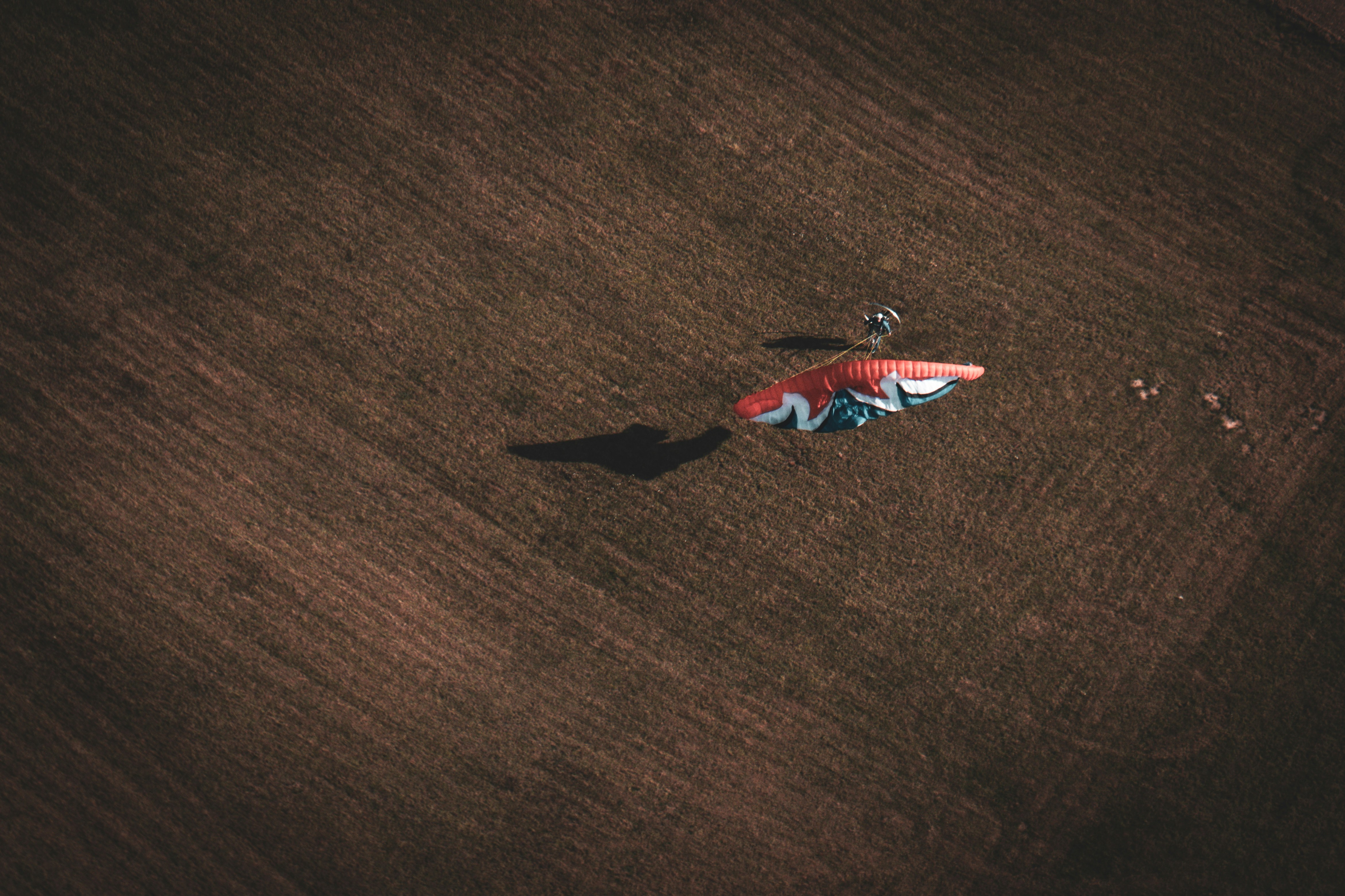 Person preparing to paraglide on a grassy field.