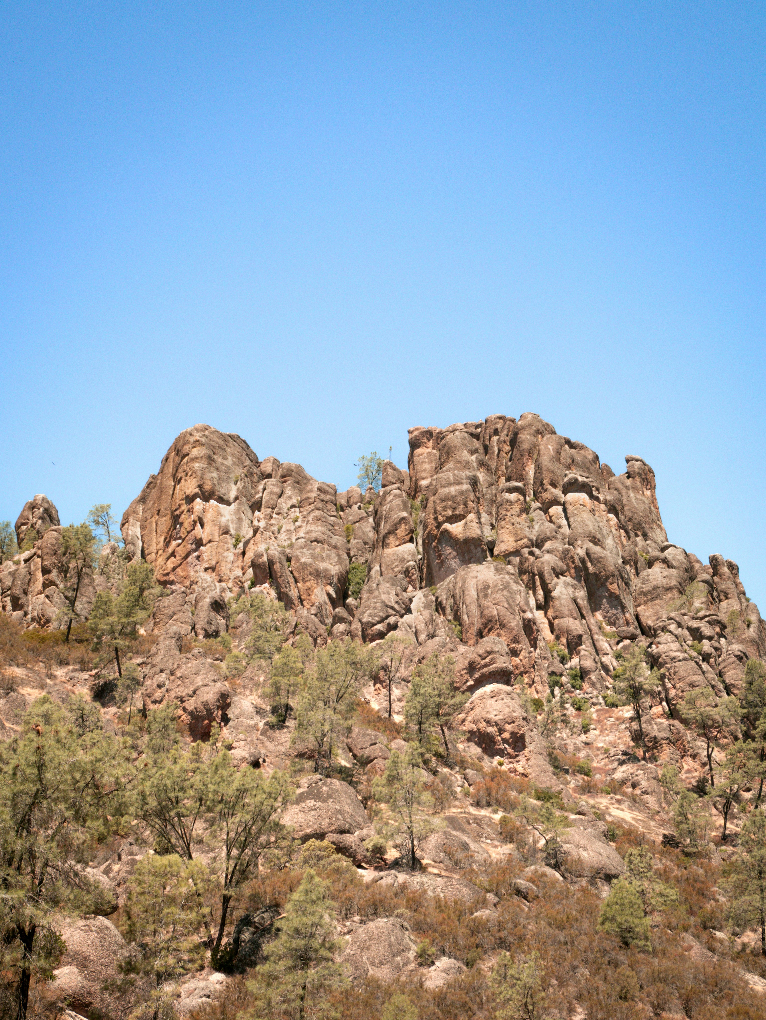 Photo by macaollarzu