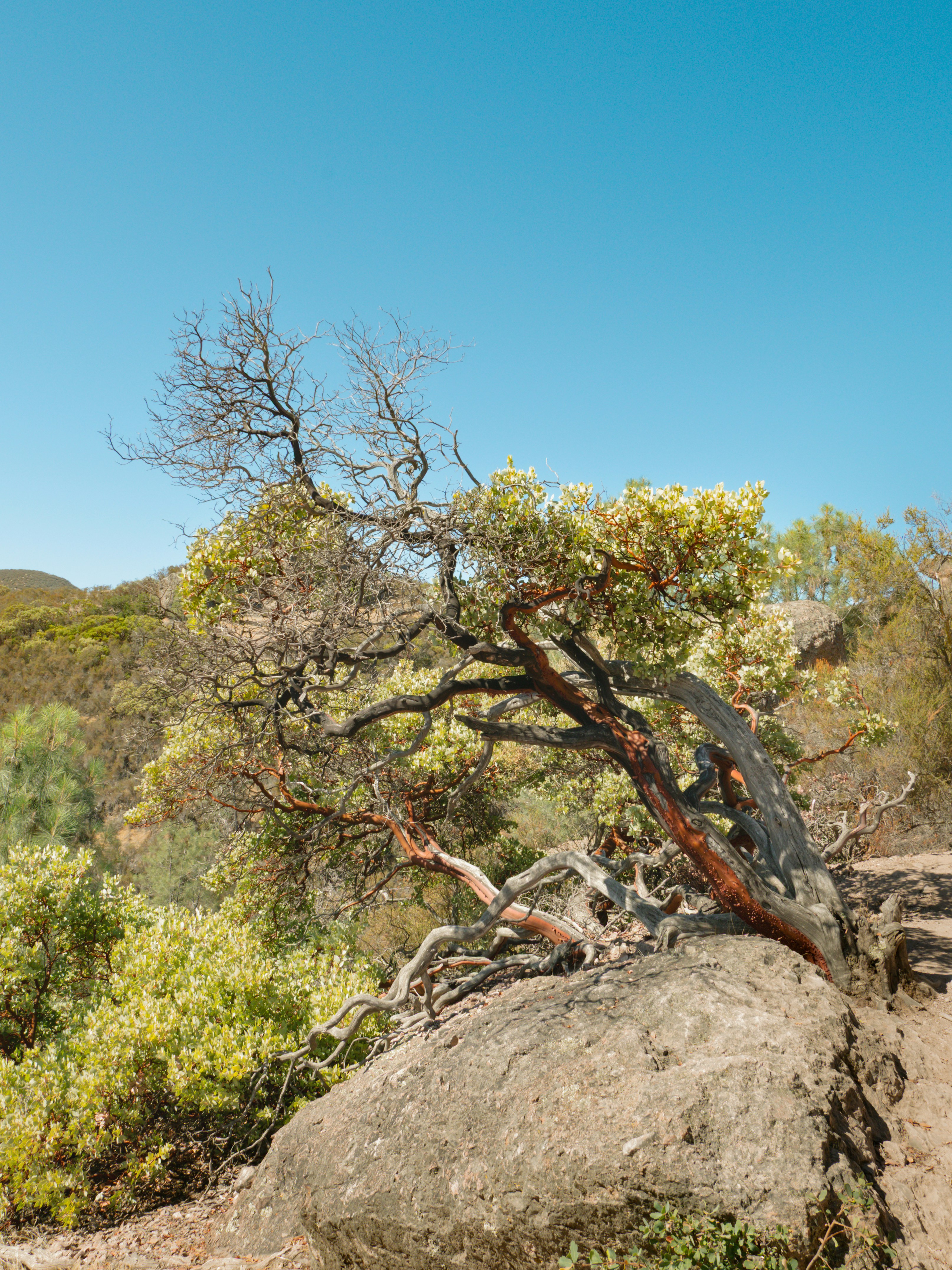 Photo by macaollarzu