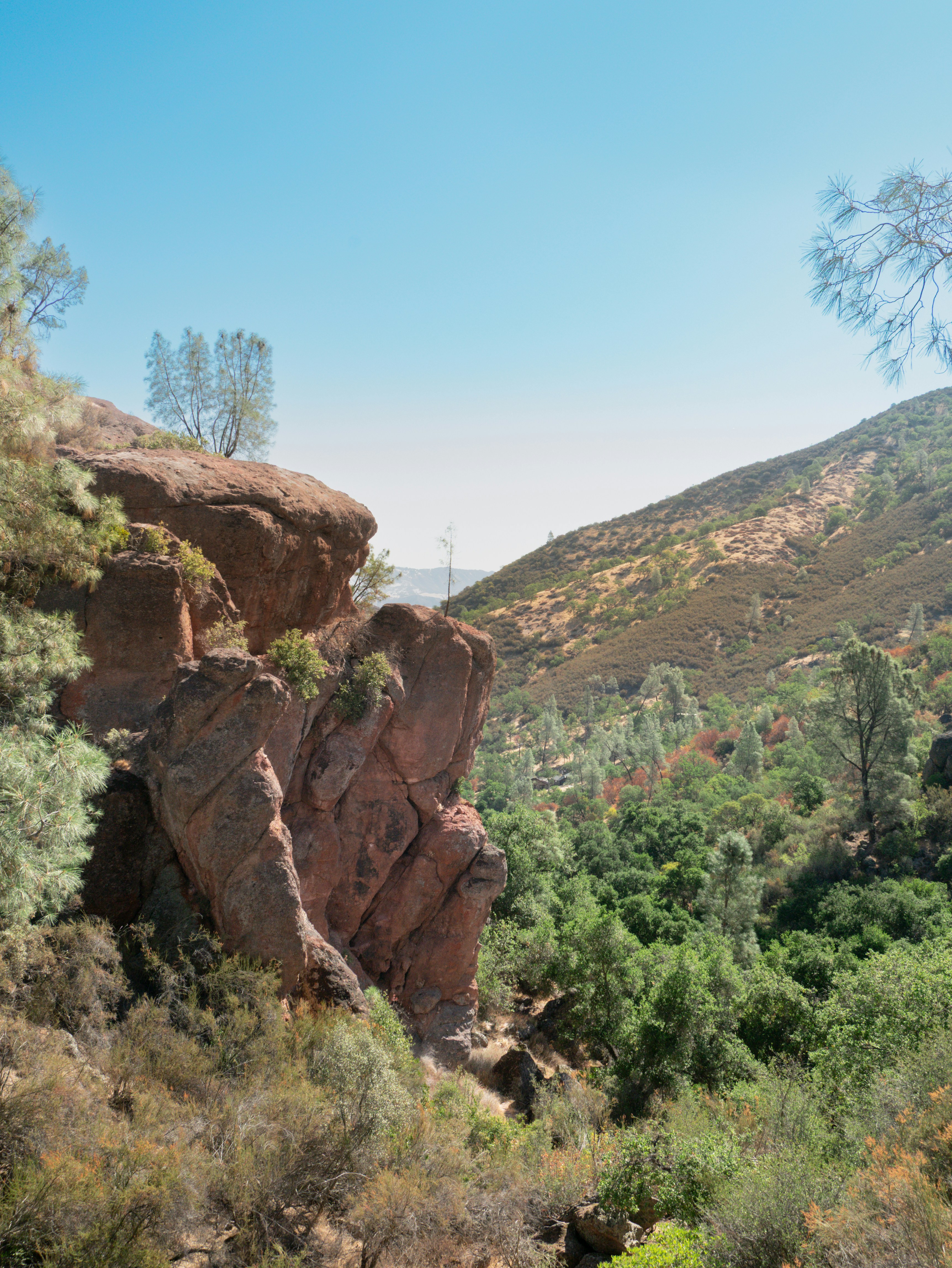 Photo by macaollarzu