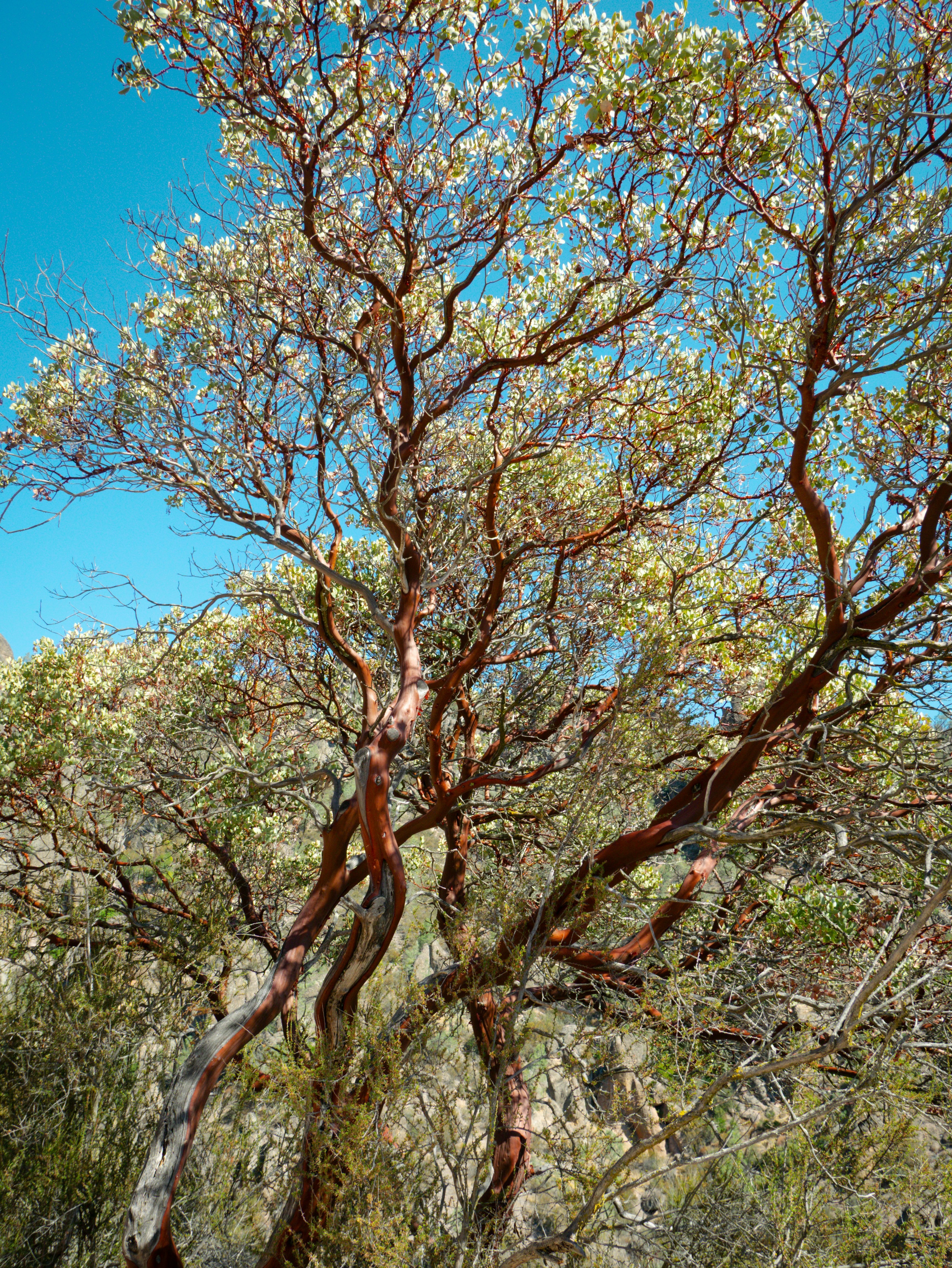 Photo by macaollarzu