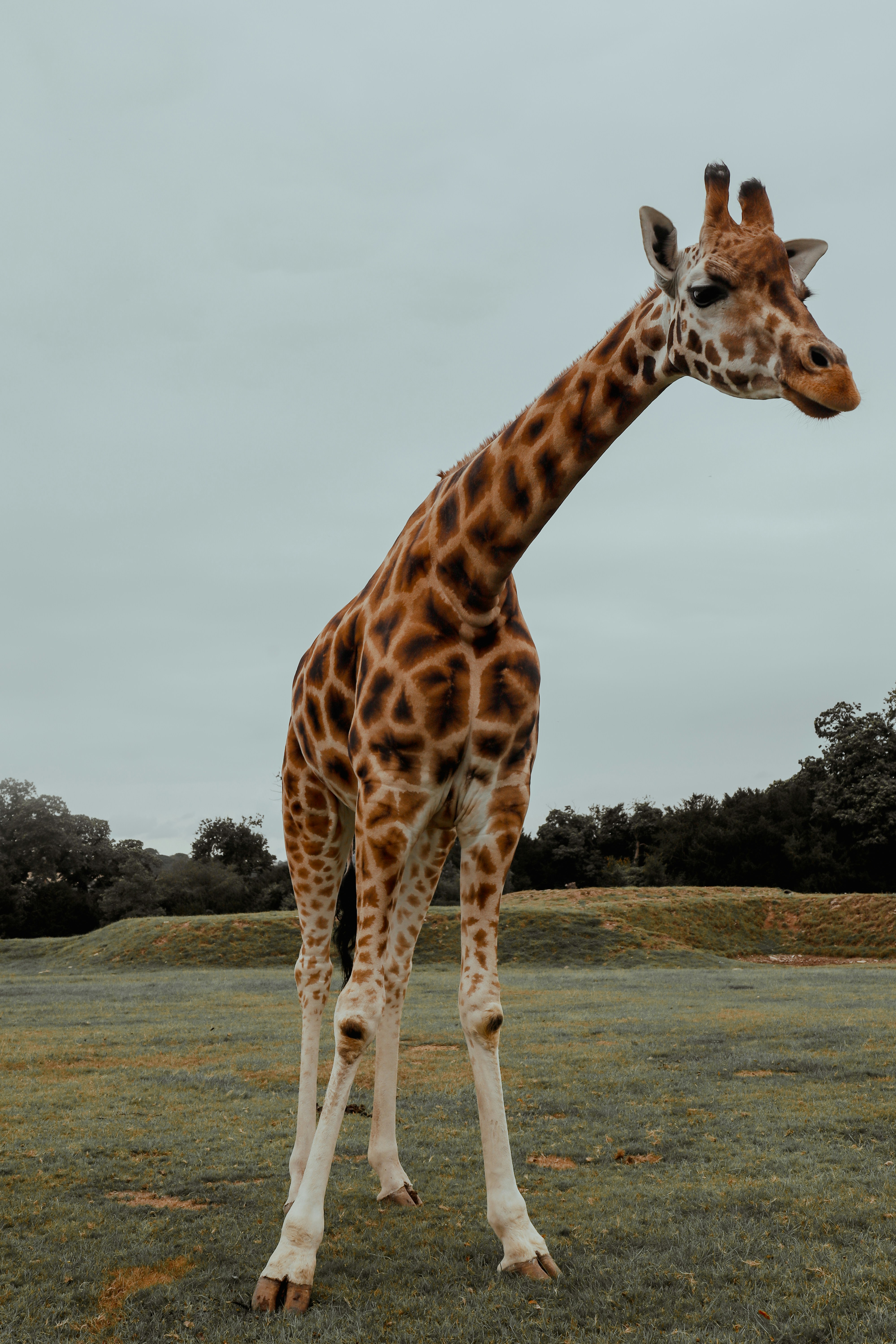 Photo by himo_beast1996