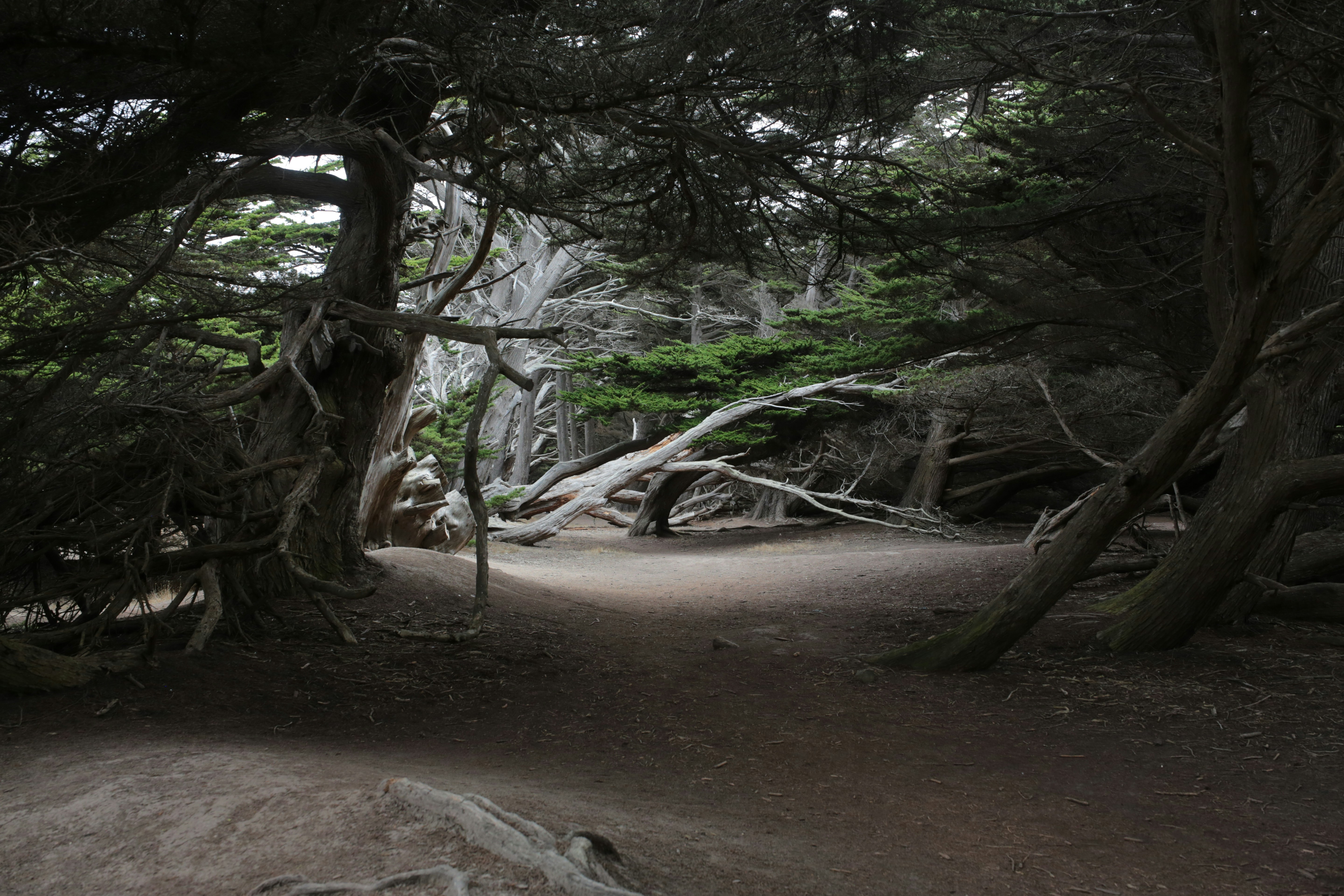 Town Of Dry Prong Park