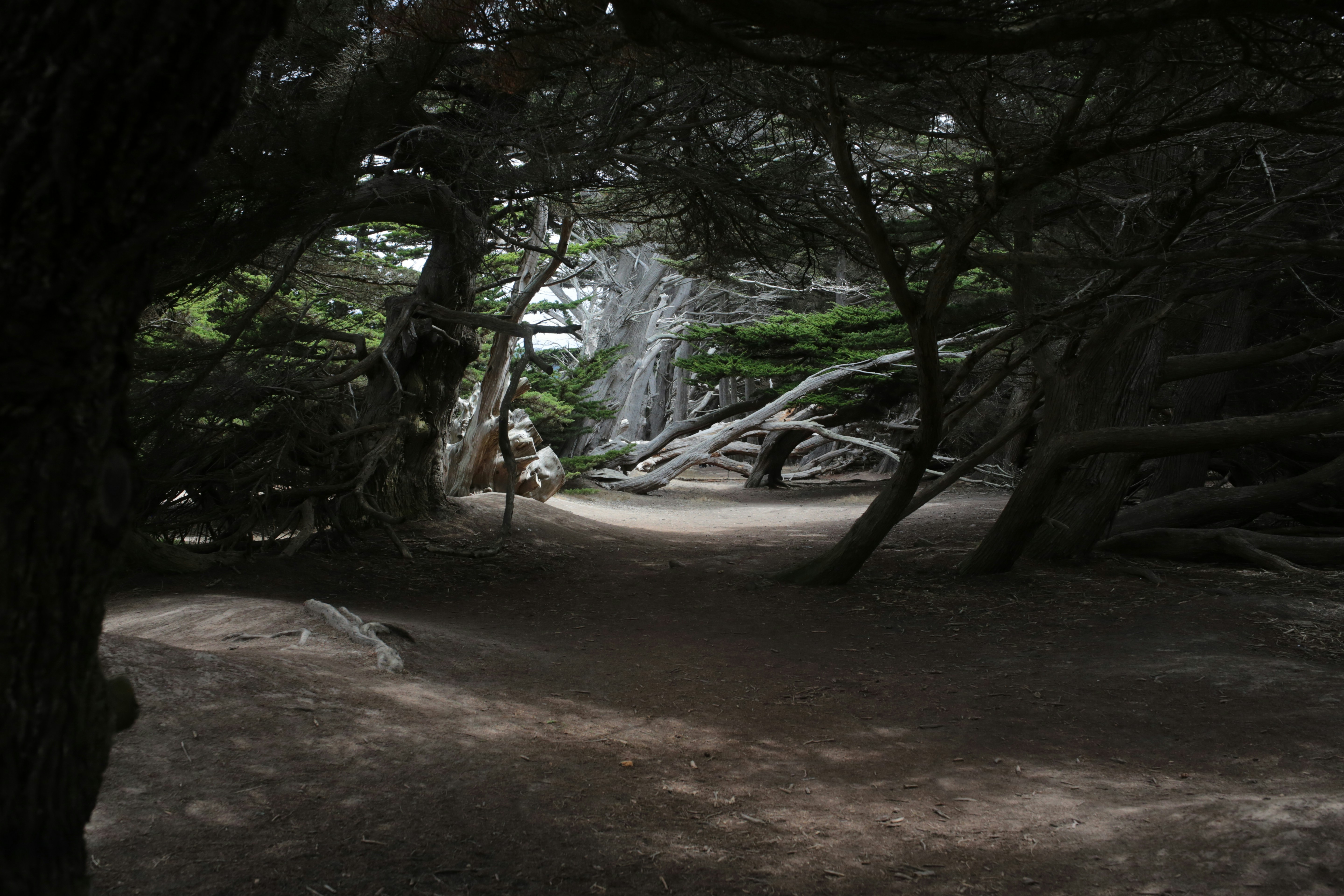 Itani Park