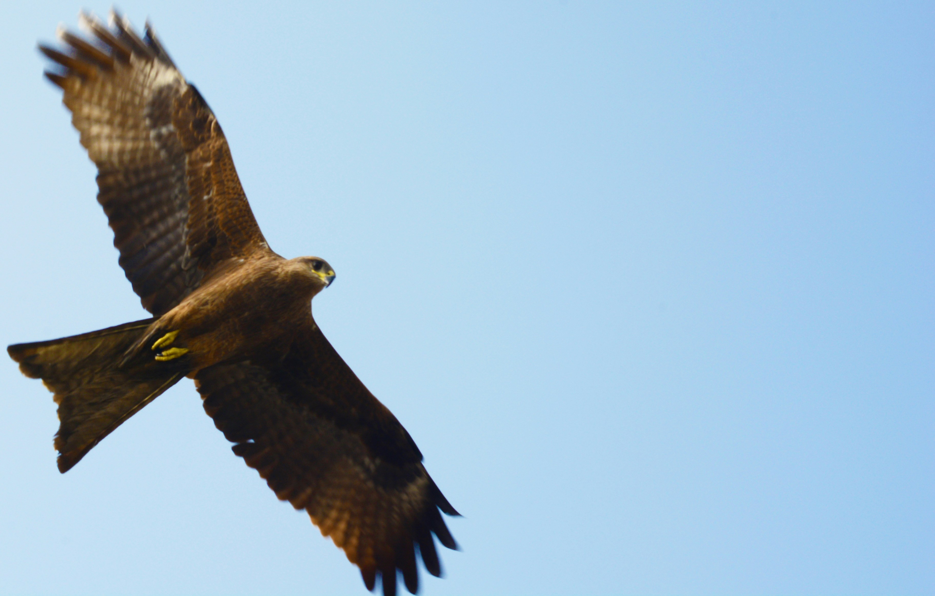 Photo by asphotographypics