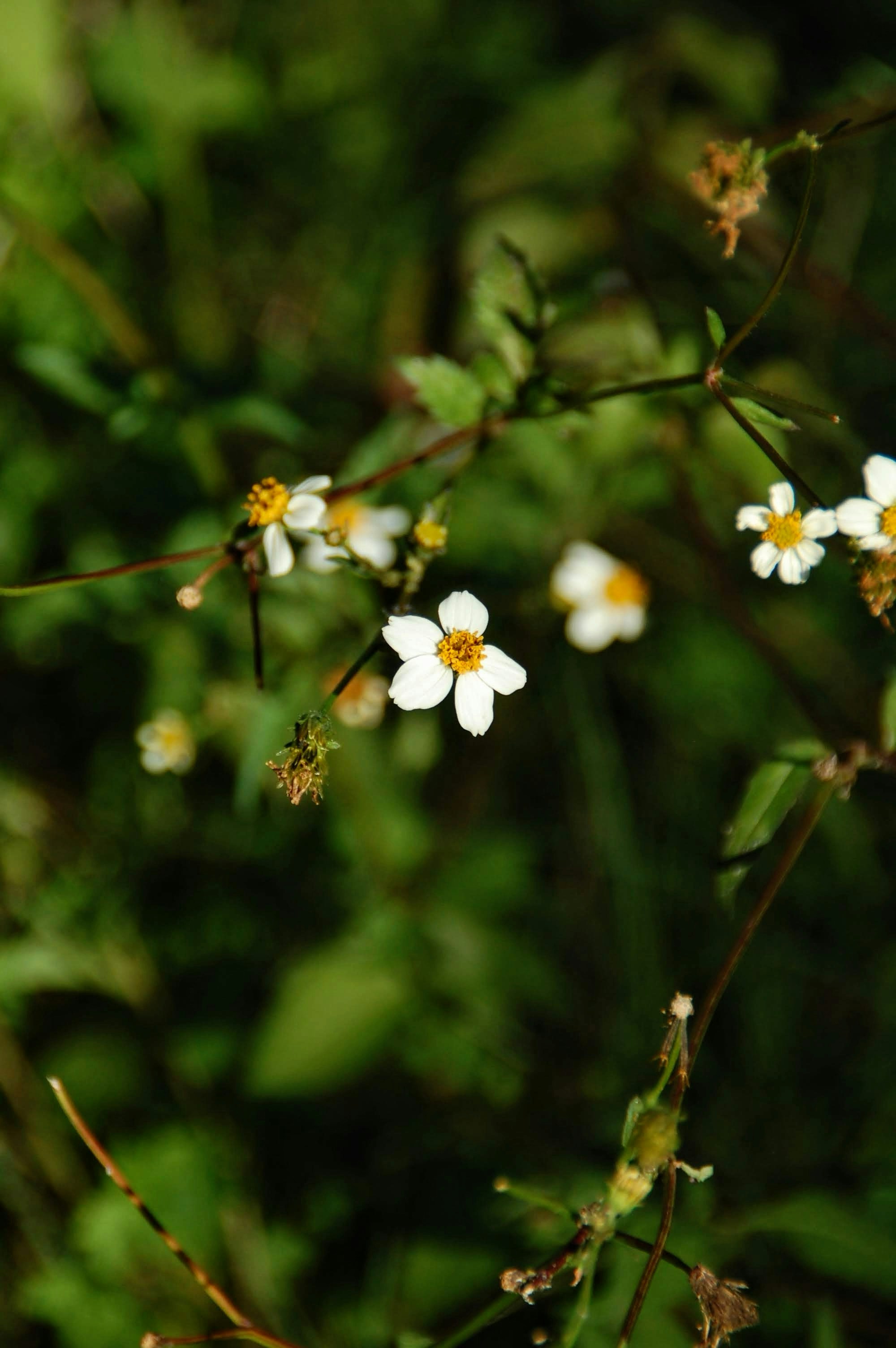 Photo by audrey_slade