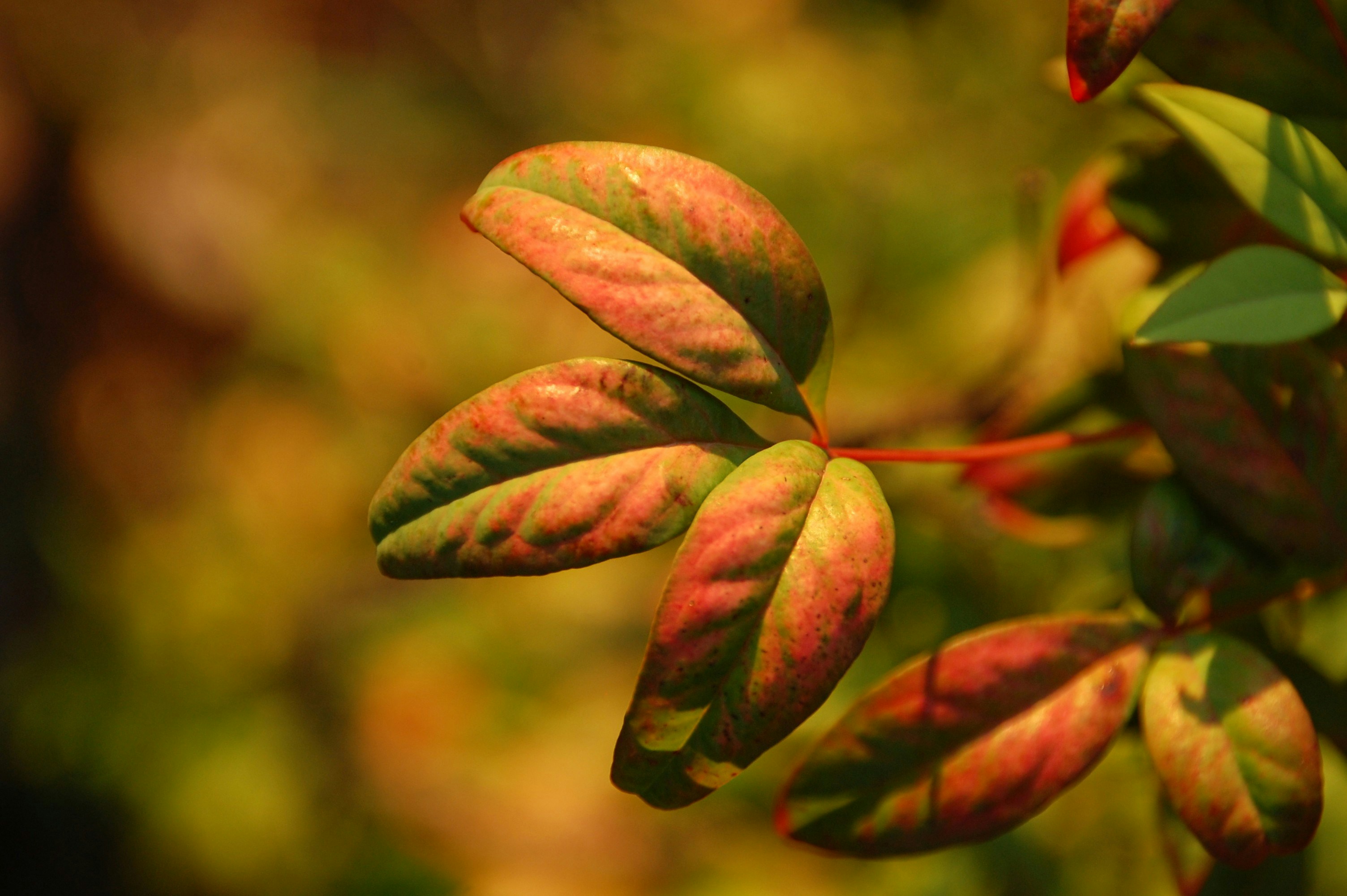 Photo by audrey_slade