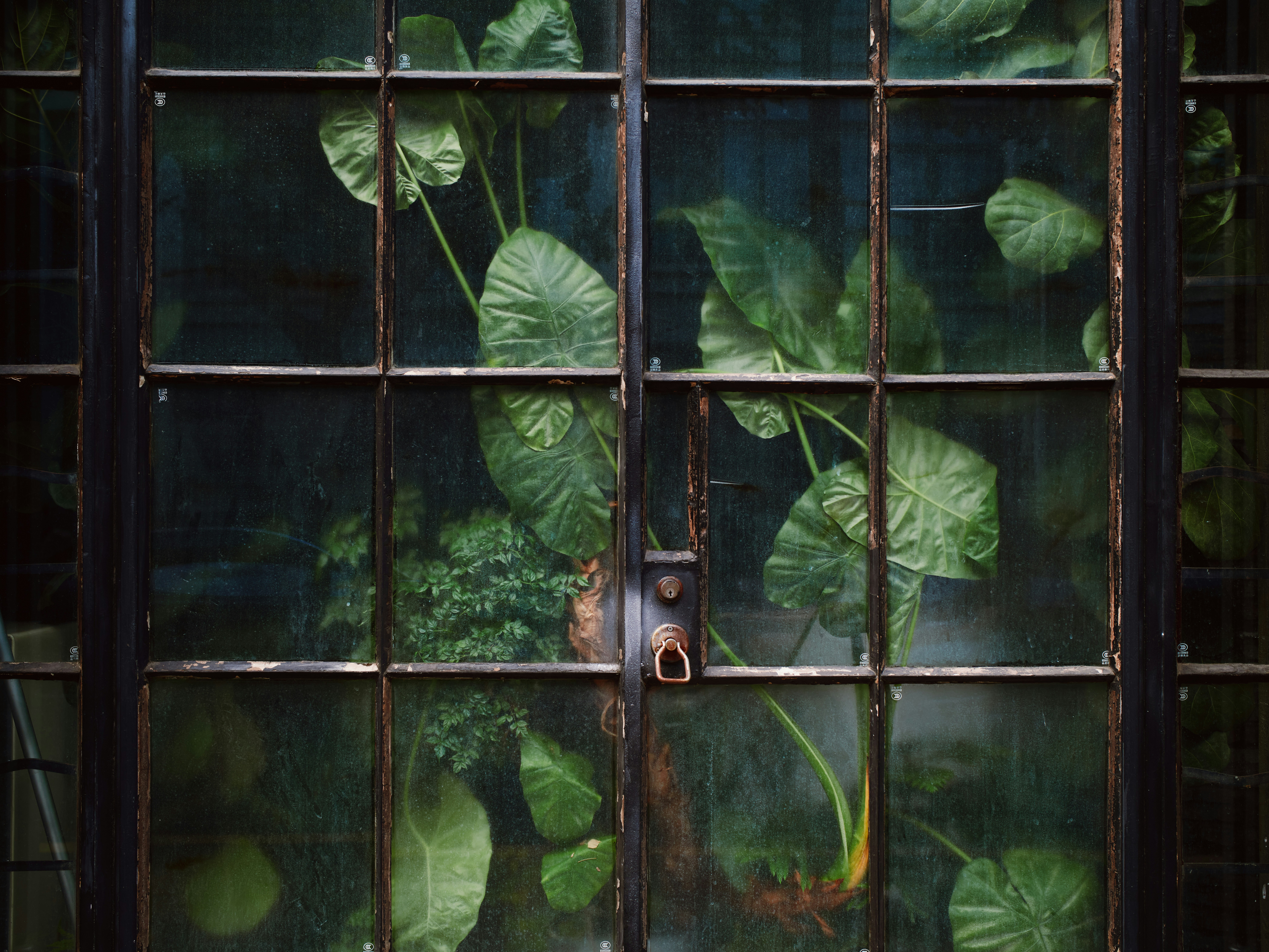 Suggestions For Efficient Landscaping After Construction Completion